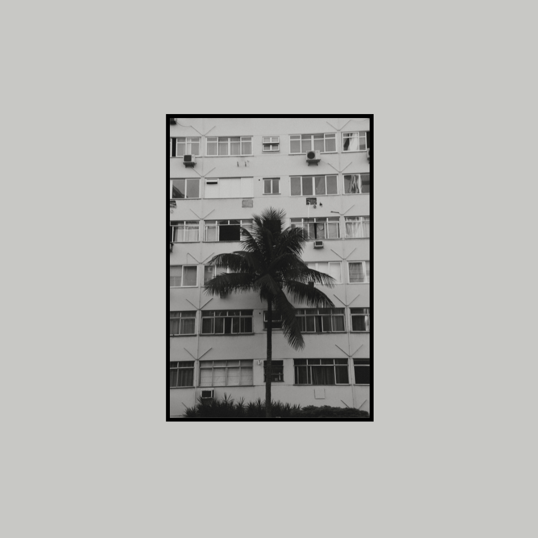 paseo-leblon-palmera-render2.png