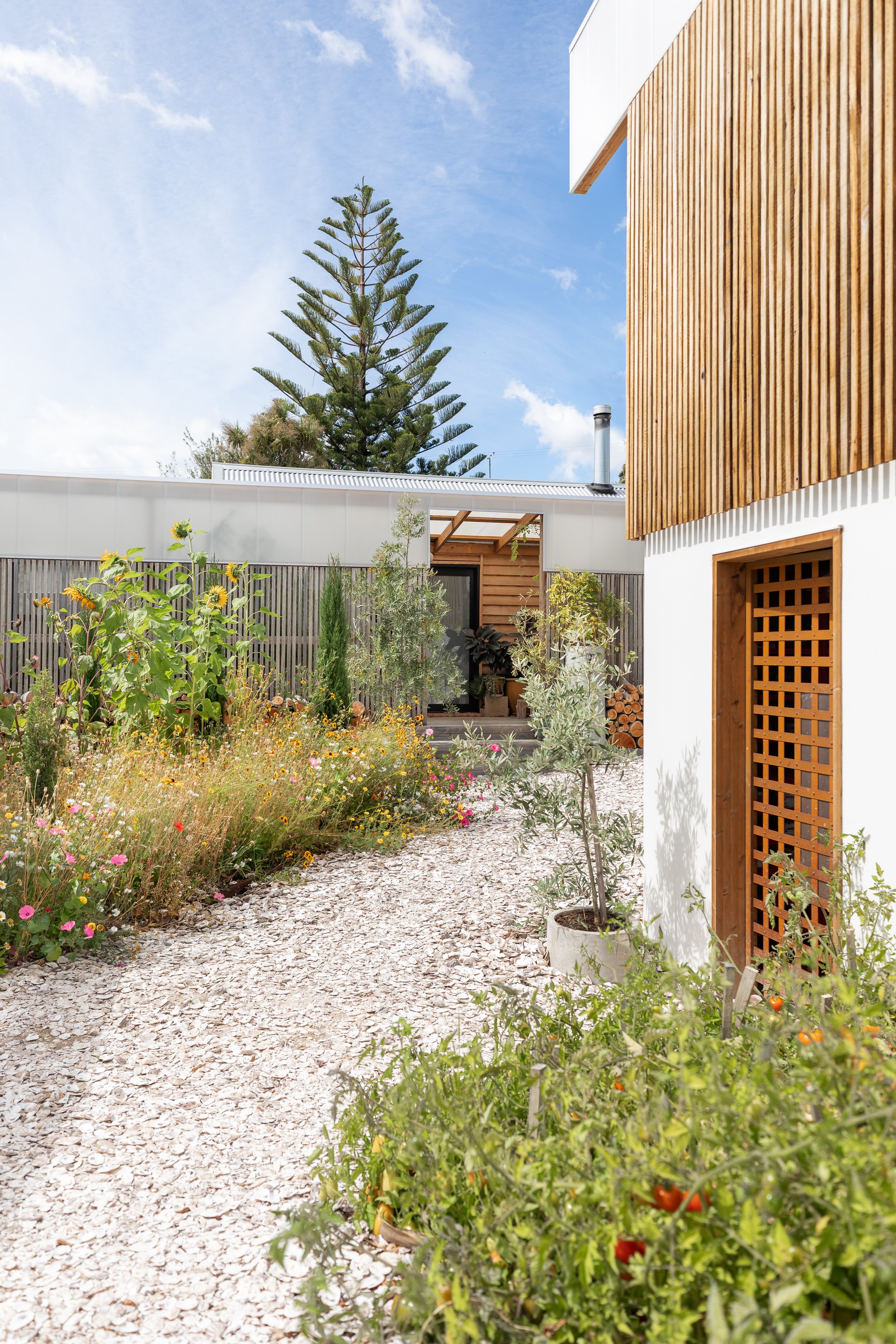 NMP_3108_VistaVerdeFeb25 HR_©NatashaMulhall.jpg