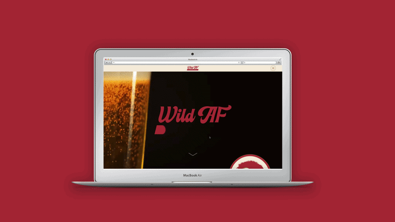 Website Collection