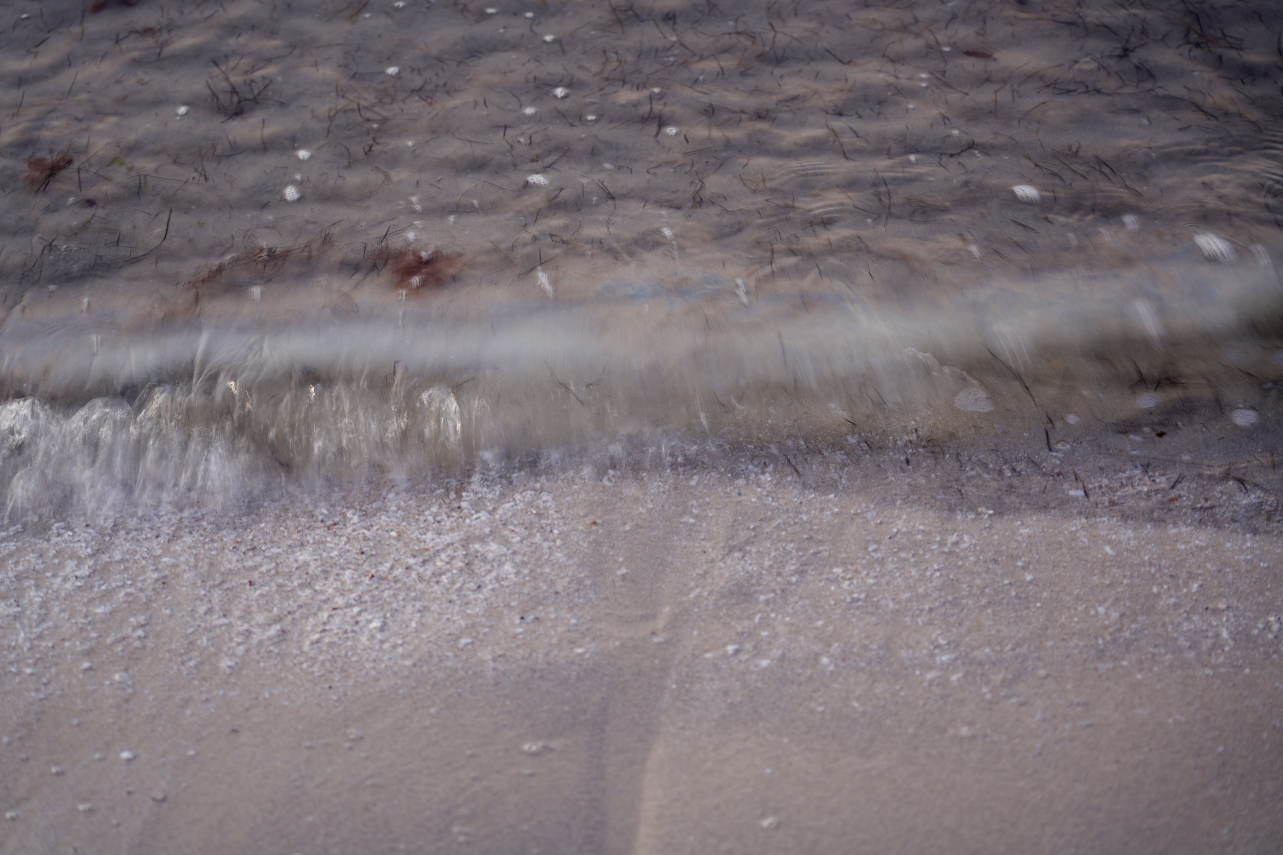 DSC03238.png
