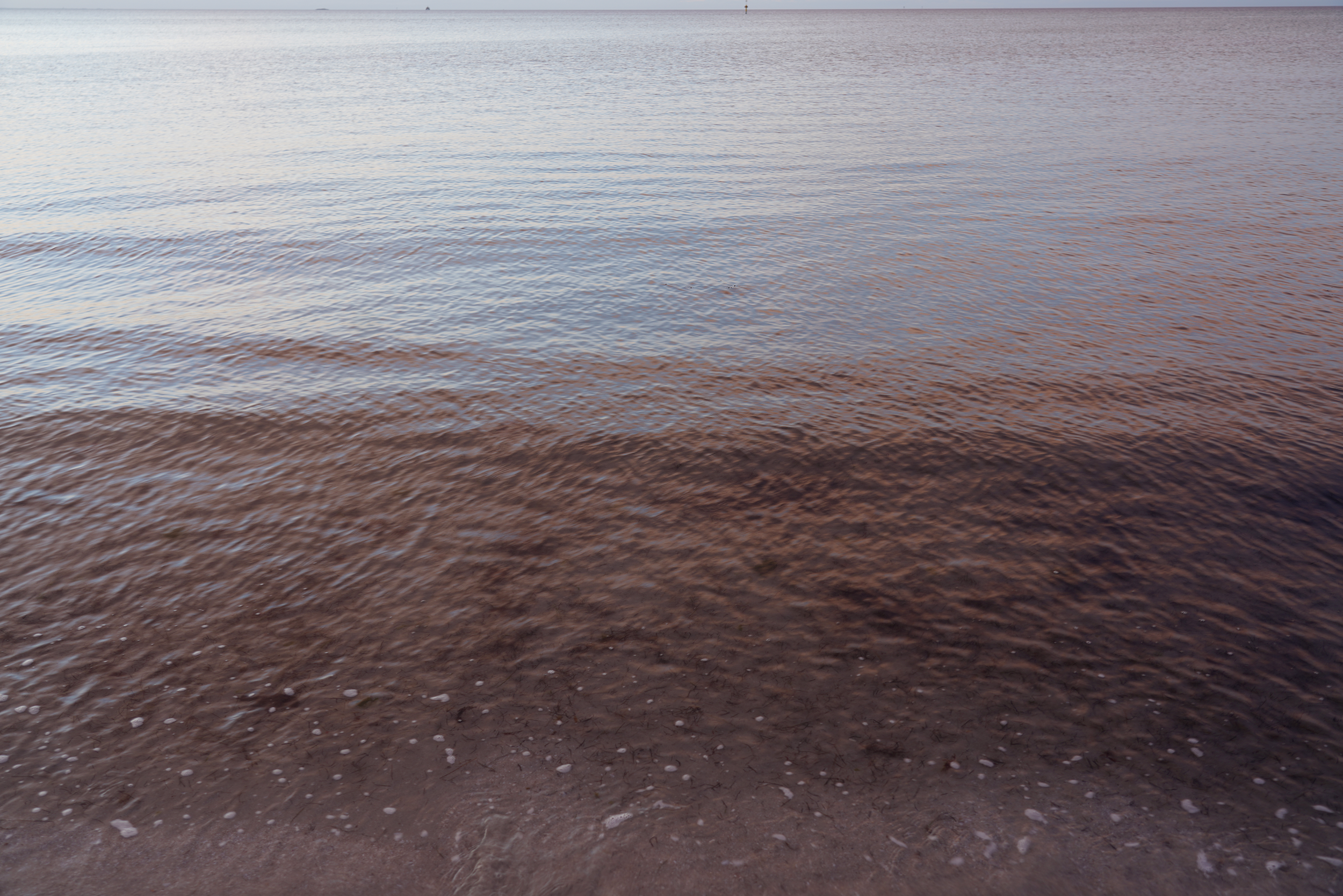 DSC03244.png