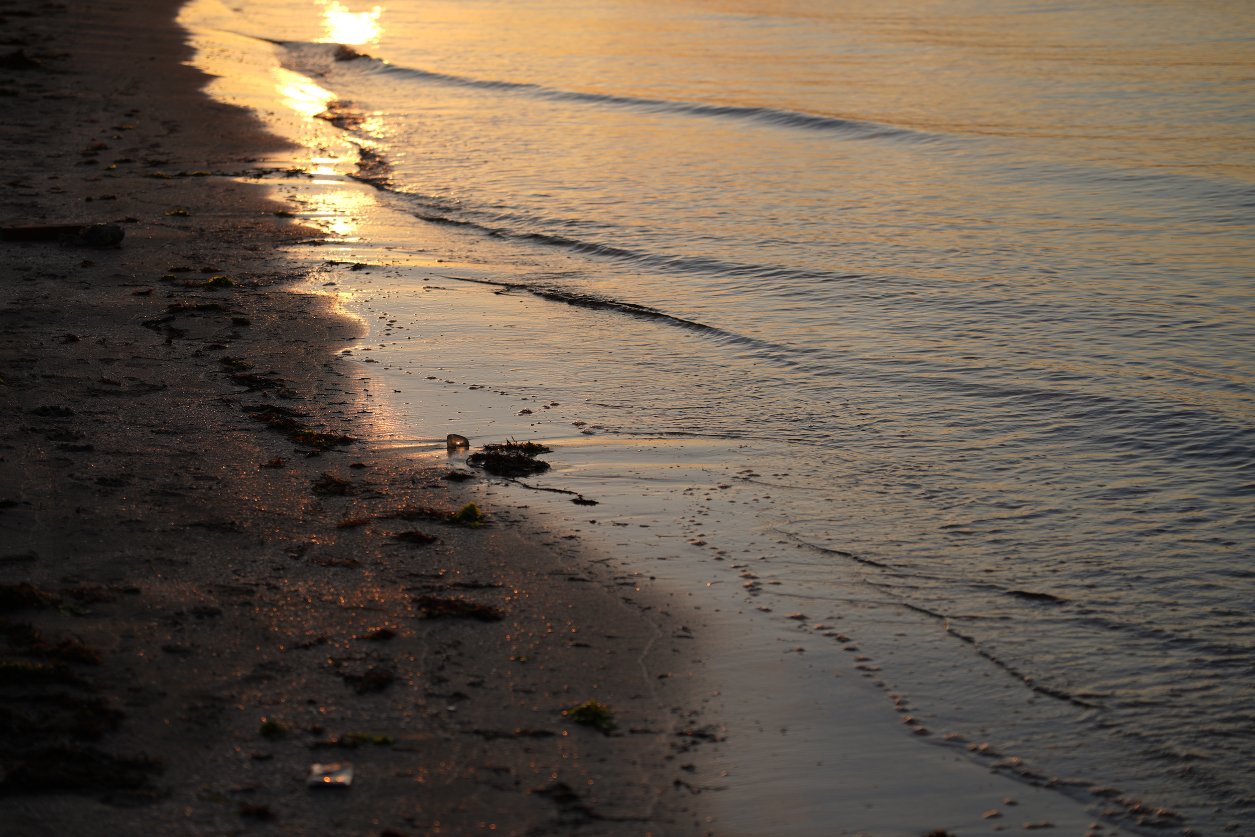 DSC03232.png