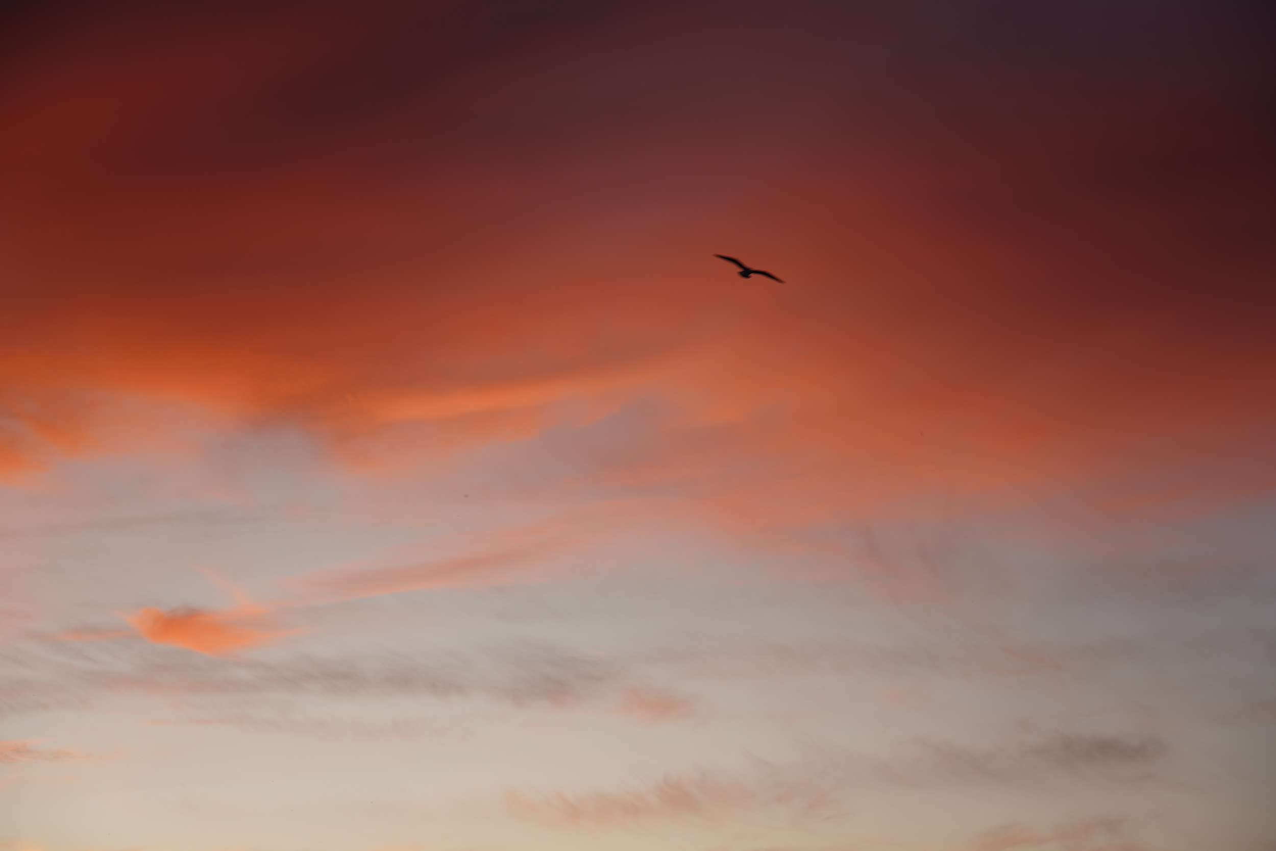 DSC03262.png