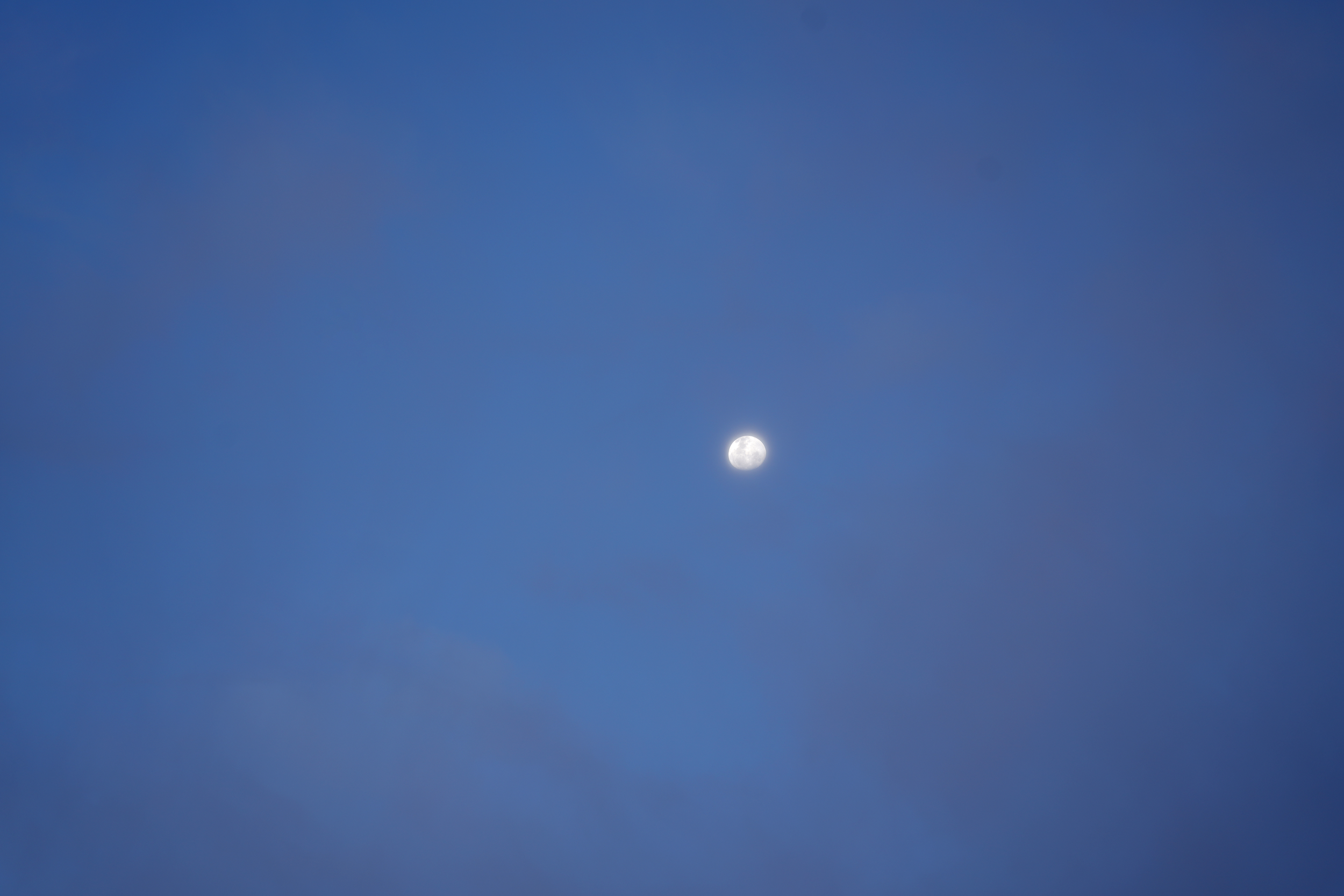 DSC03247.png