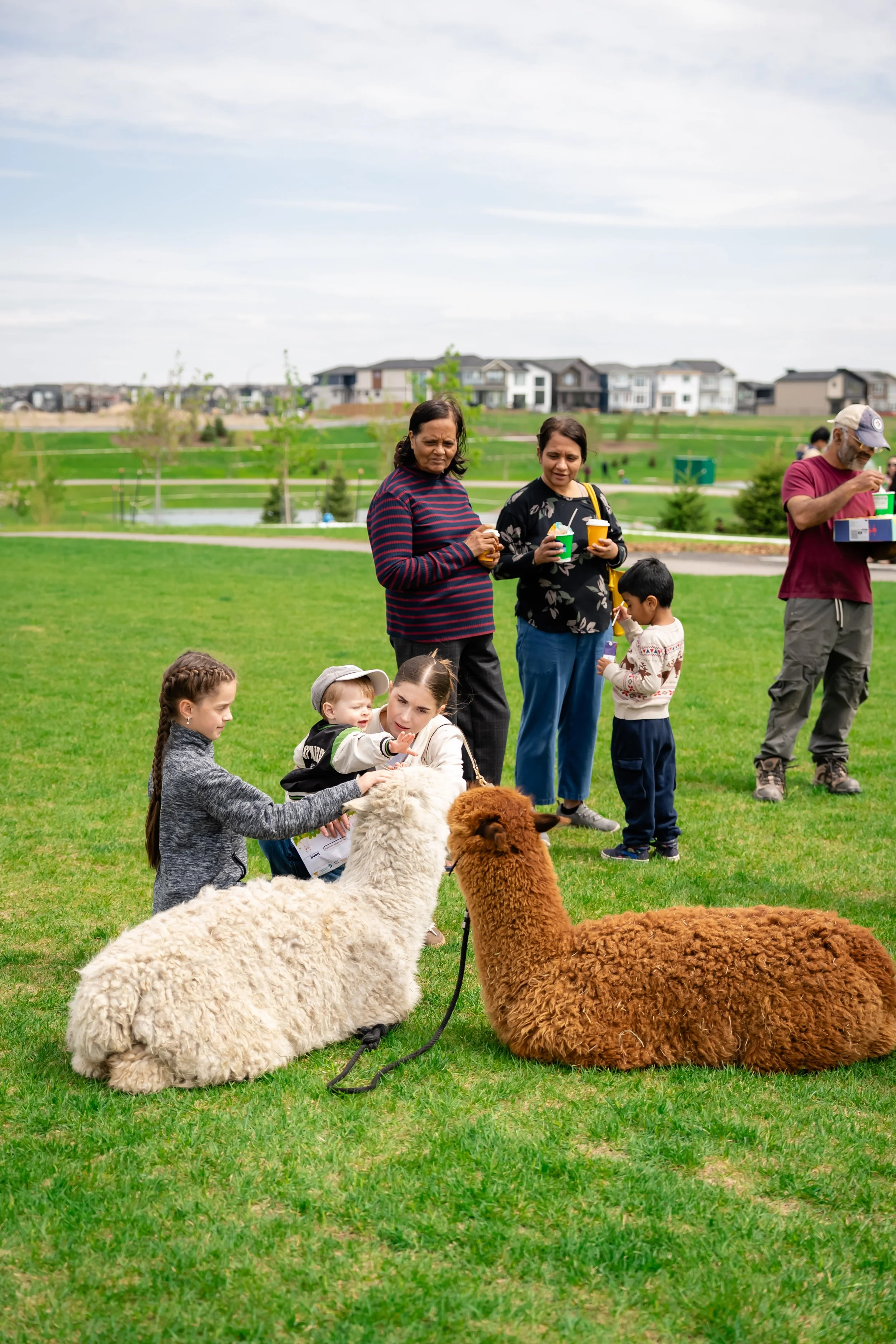 Heartwood_YYC_Park_Opening-5 (1).jpg