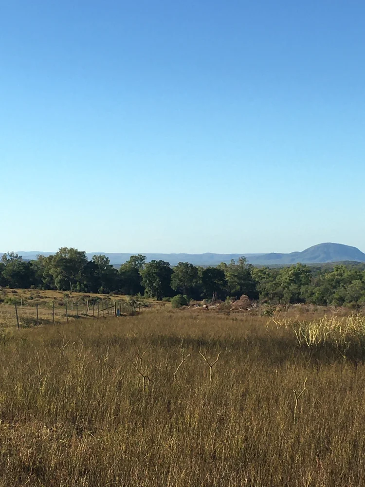 Hammer and Co Earthmoving