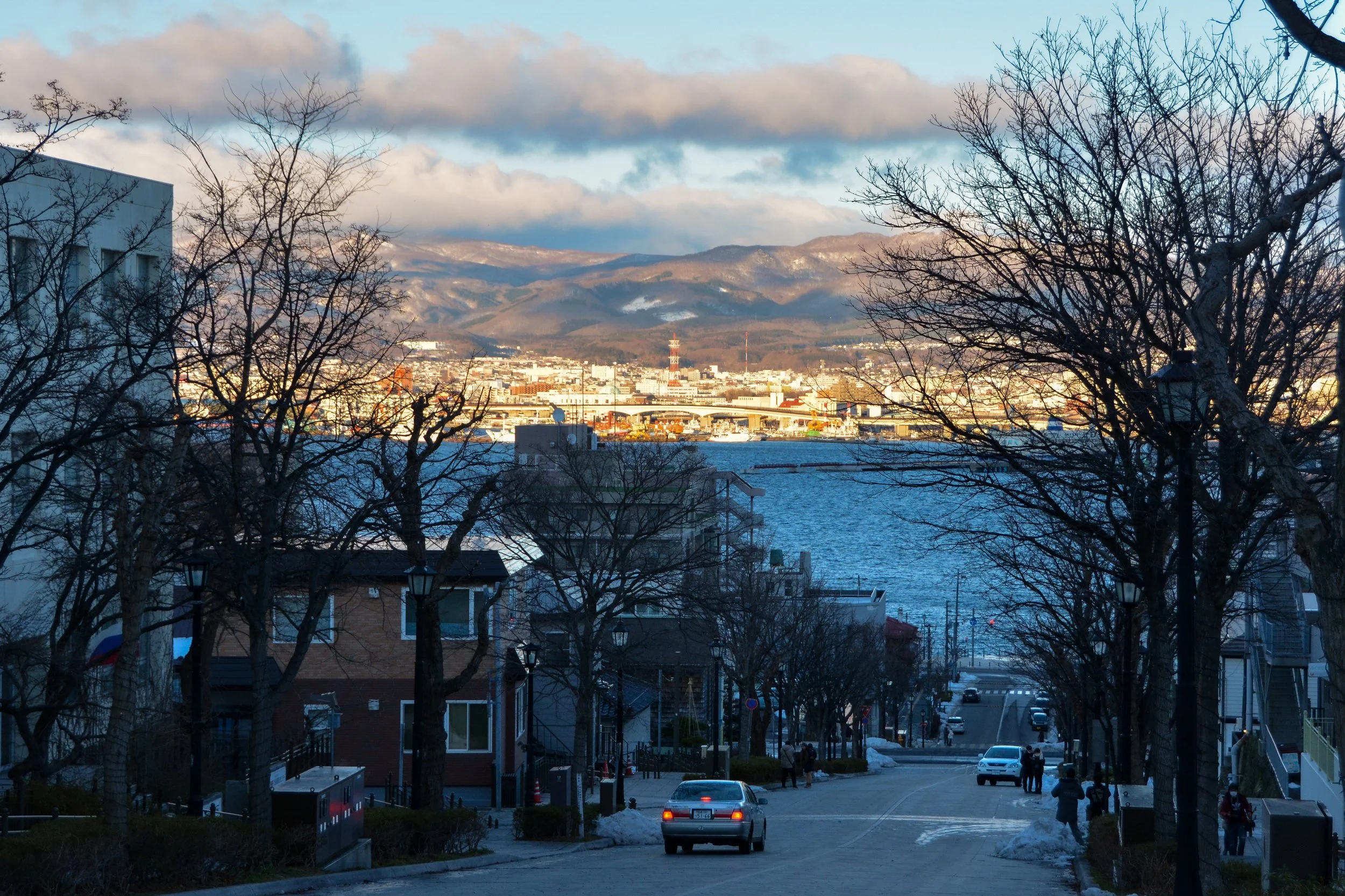 DSC_4686.jpg