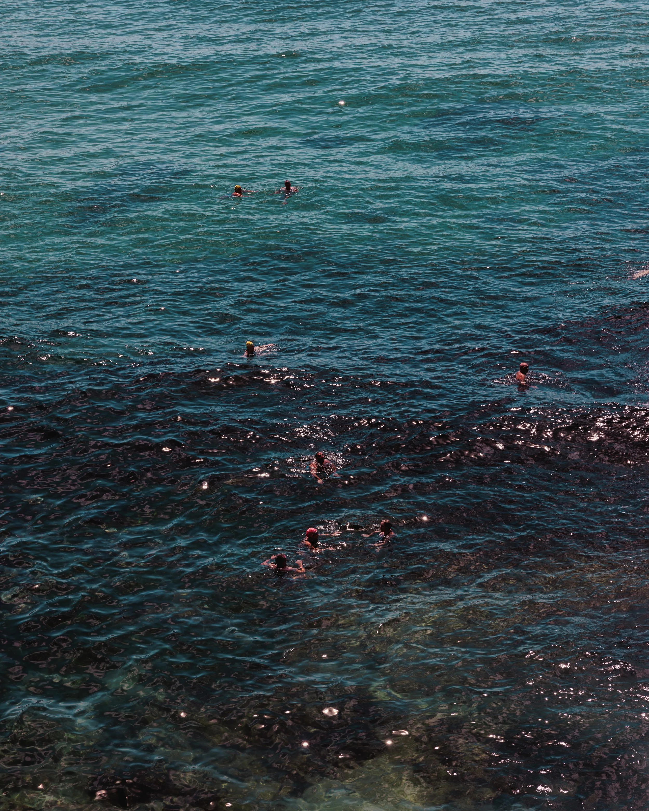 Bondi Beach Swimmers Print