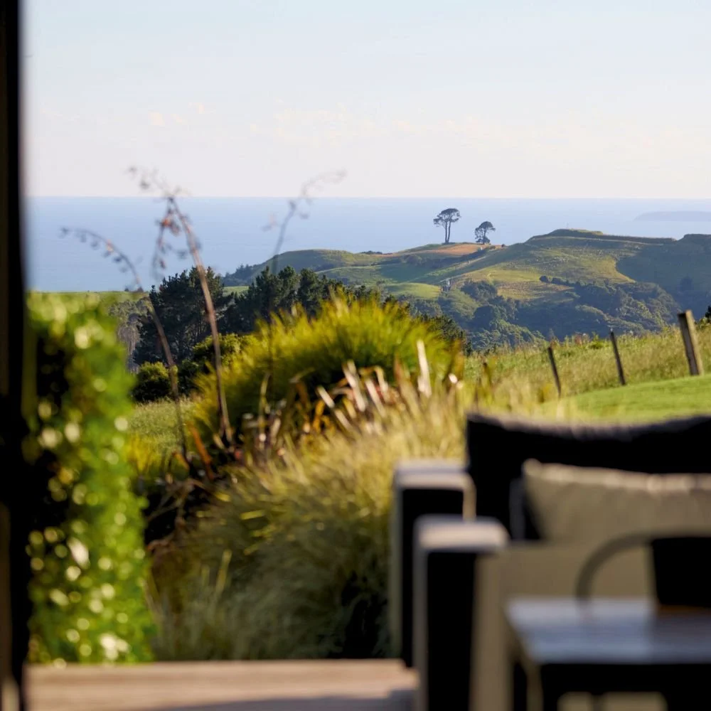  
 &nbspPure 
 &nbsp5 Chestnut Lane &nbspPapamoa Hills  
 