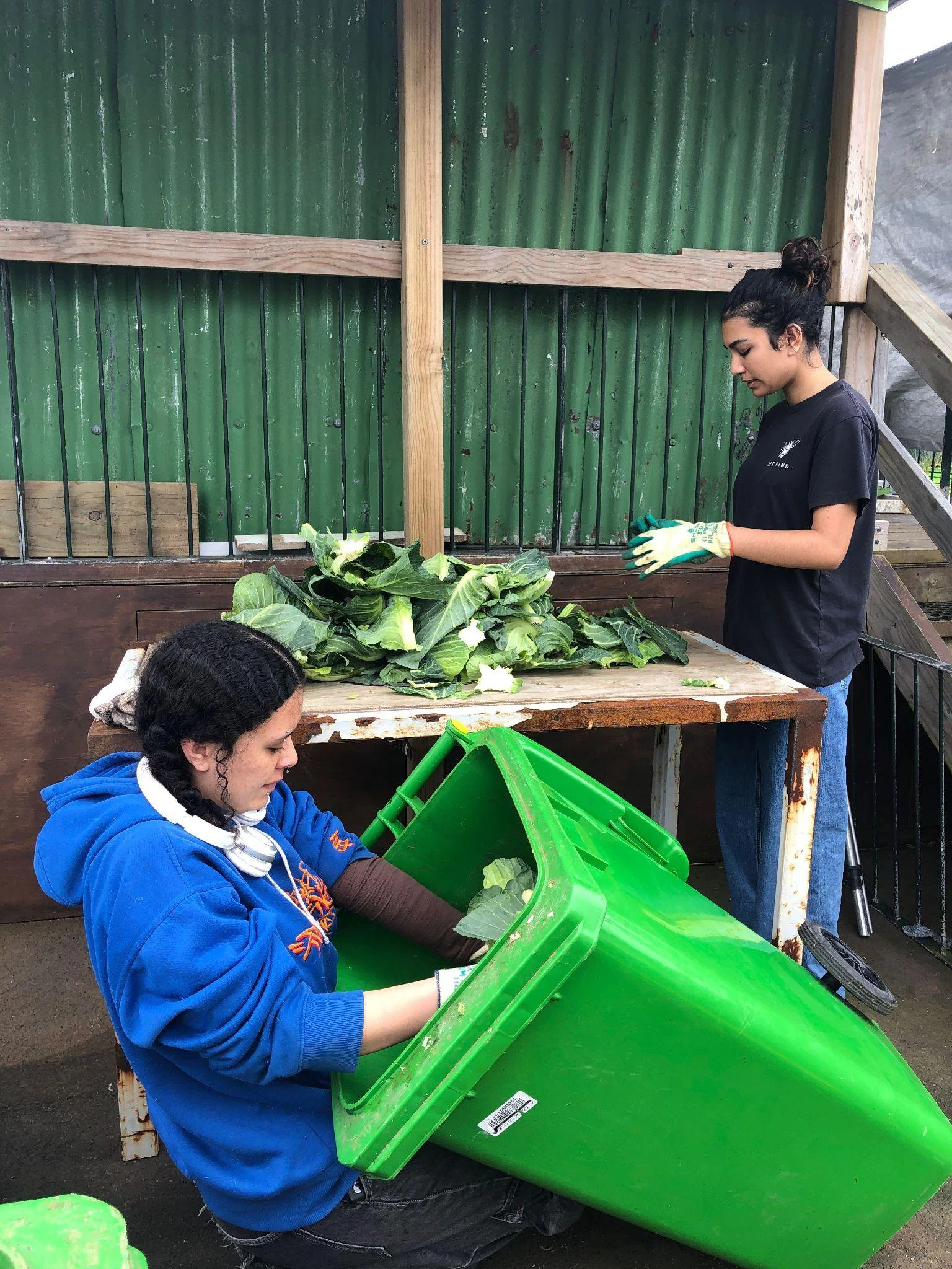 New food scrap collection started!