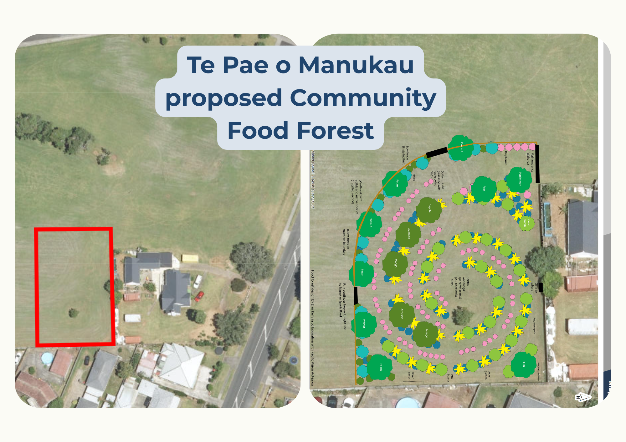 ‘Manukau Fruit Bowl’ coming soon!
