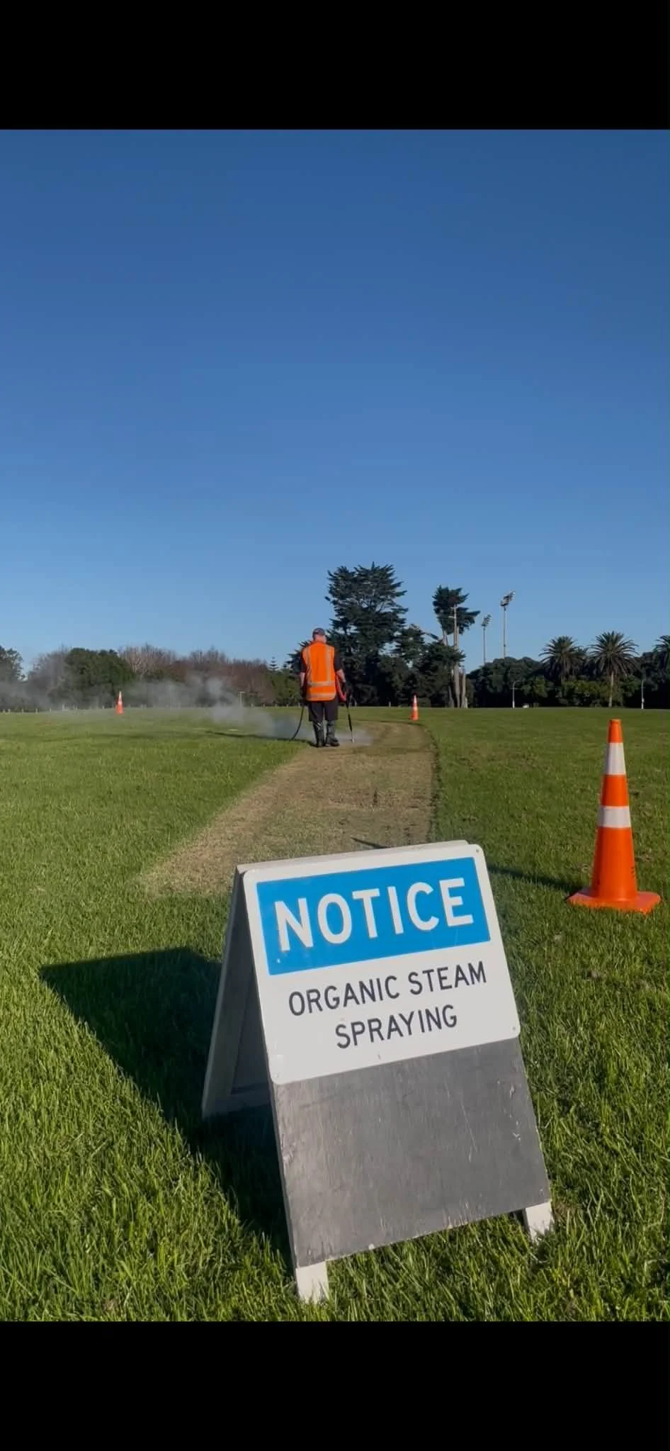 Chemical weeding out, Steam weeding in!