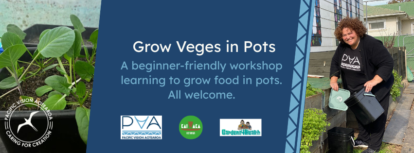 How to Grow Veges in Pots