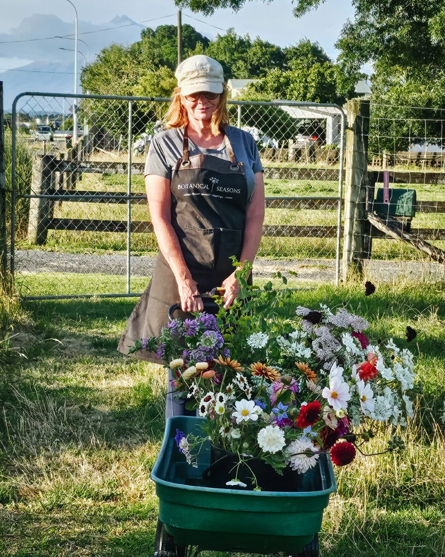 It&rsquo;s peak flower harvest time for me right now (check me out with my very full trolley of flowers 😊).

There&rsquo;s so much coming from the field for the farm stand bunches at the moment. Right now, these flowers are going strong in my little