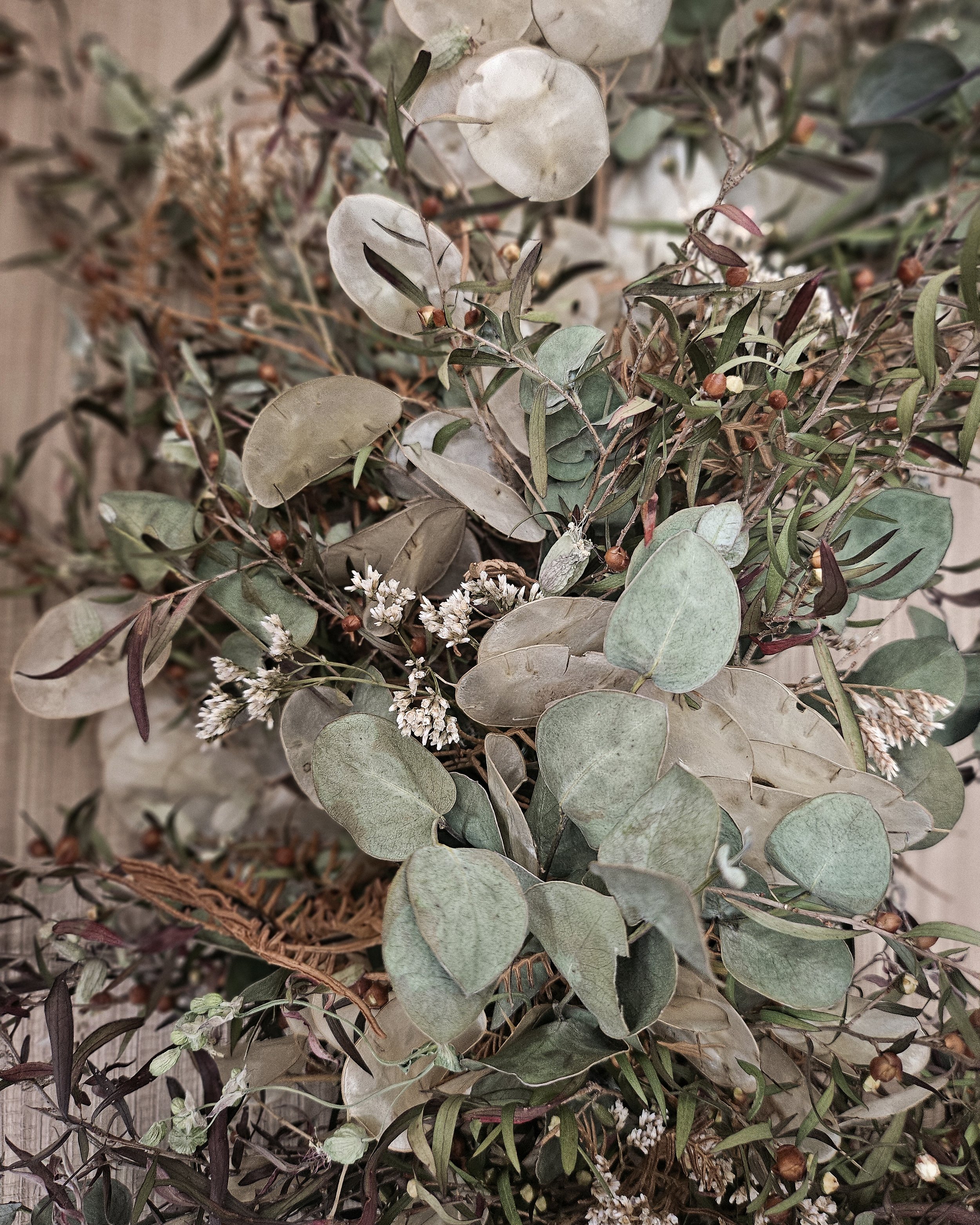 Wildly Festive-2-2.jpg