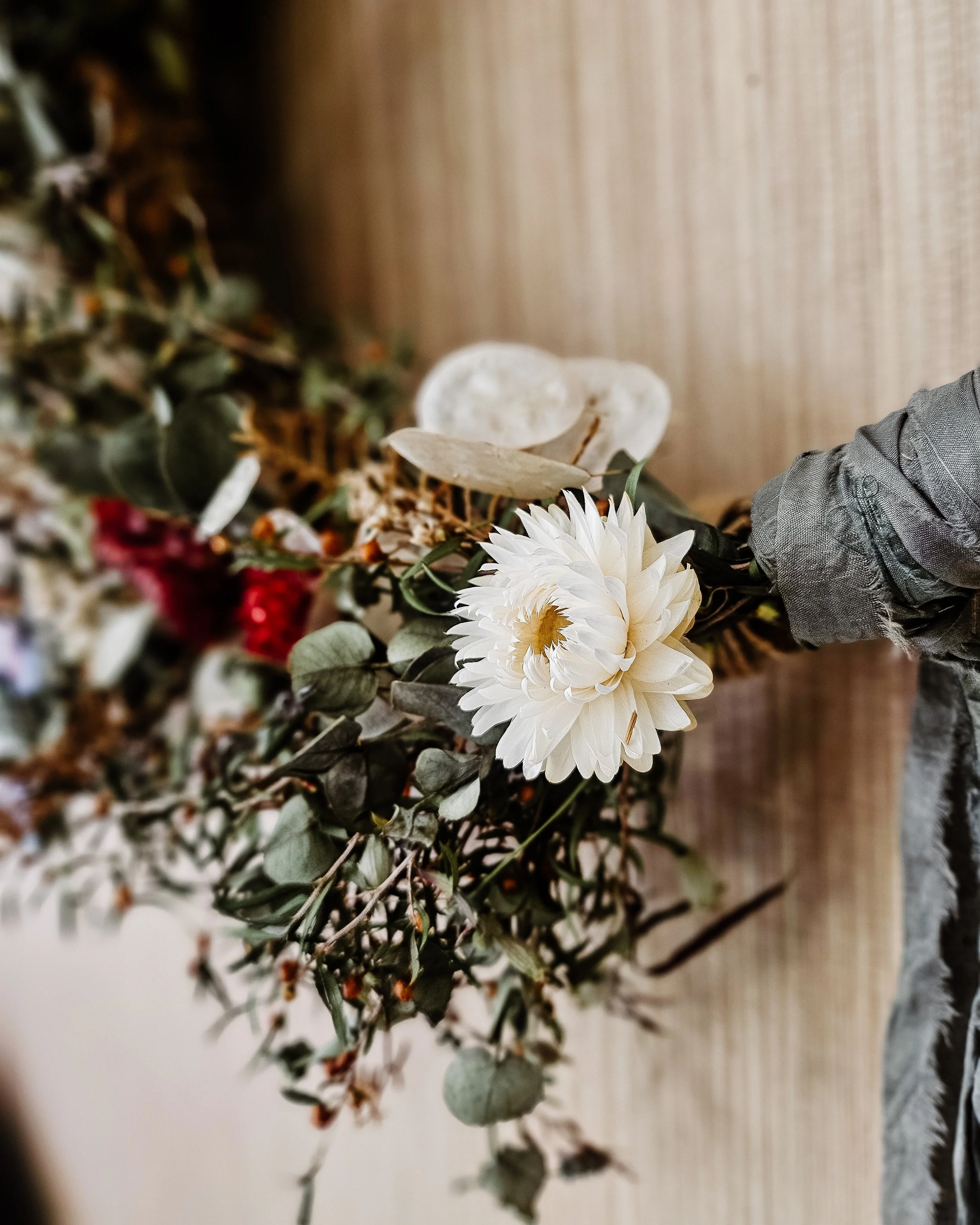 Wildly Festive-1-2.jpg