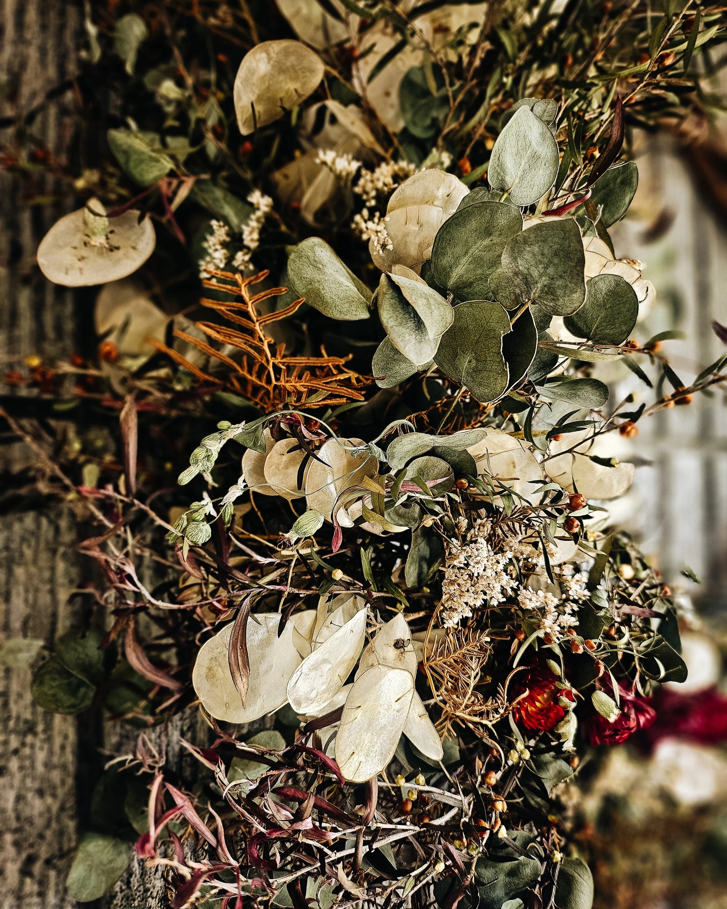 Wildly Festive-5-2.jpg