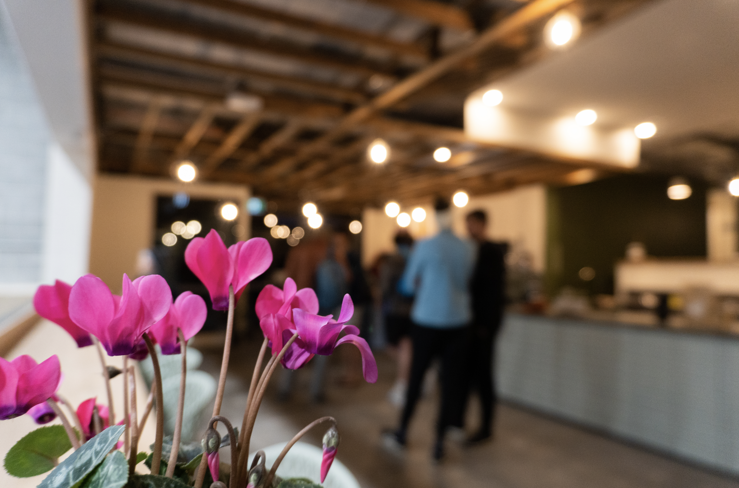 Screen Shot 2023-07-27 at 3.18.16 pm.png