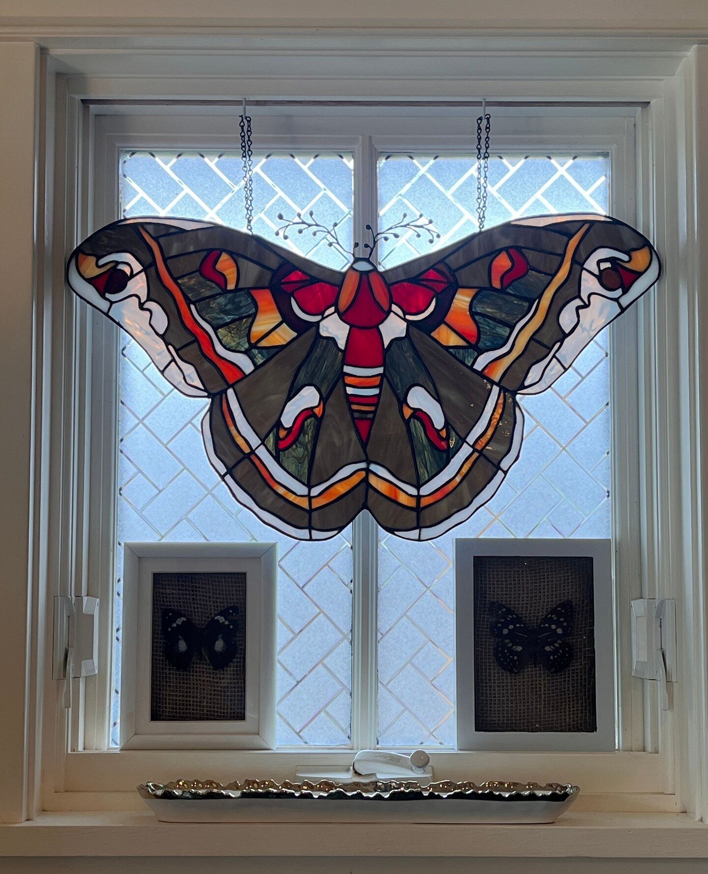 look at this 🦋 stained glass⁠
⁠
Love it!