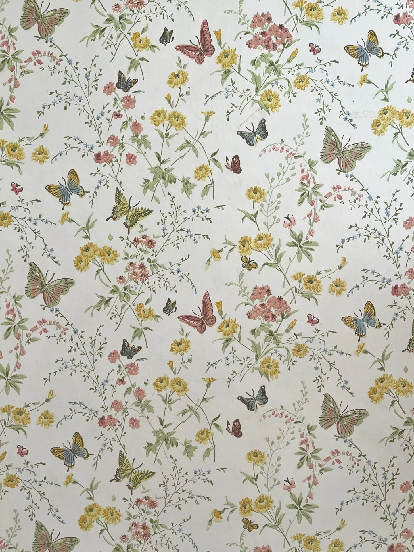 The cuteness of this wallpaper found @elmspropertygroup latest listing 😍

#wallpaper #wednesday #eugene