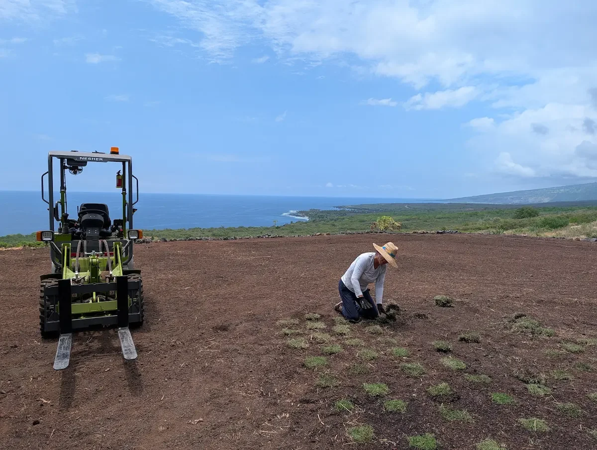 NESHER L880 in Hawaii planting sod.webp
