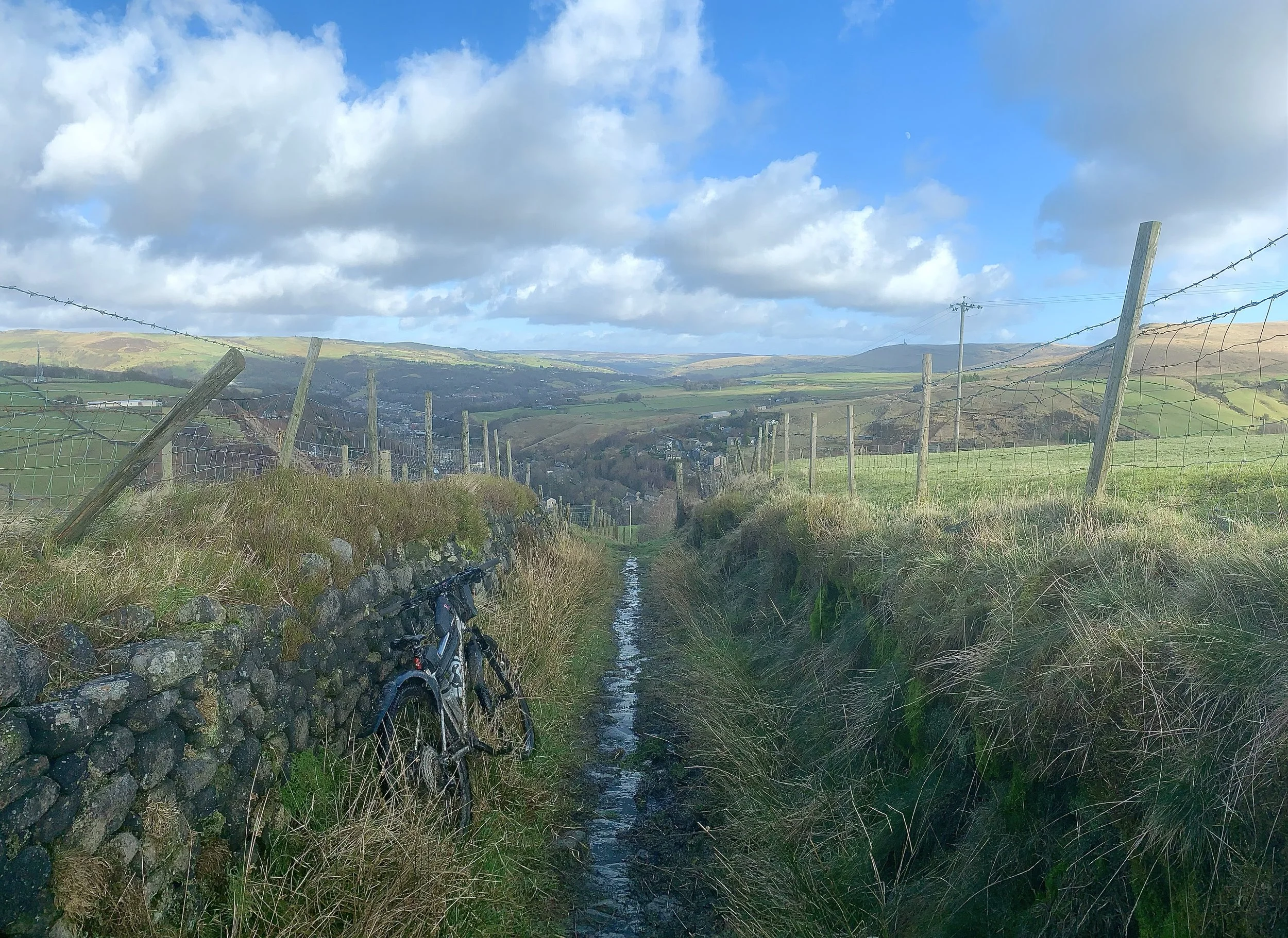 Naze Road.jpg