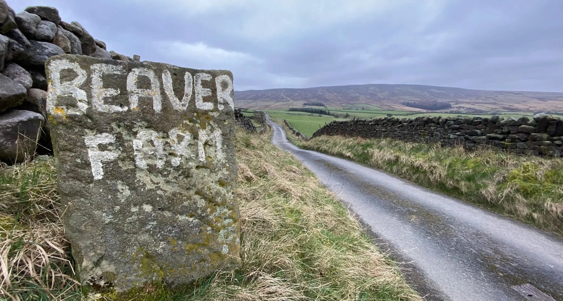 Beaver Fm - landscape.jpg
