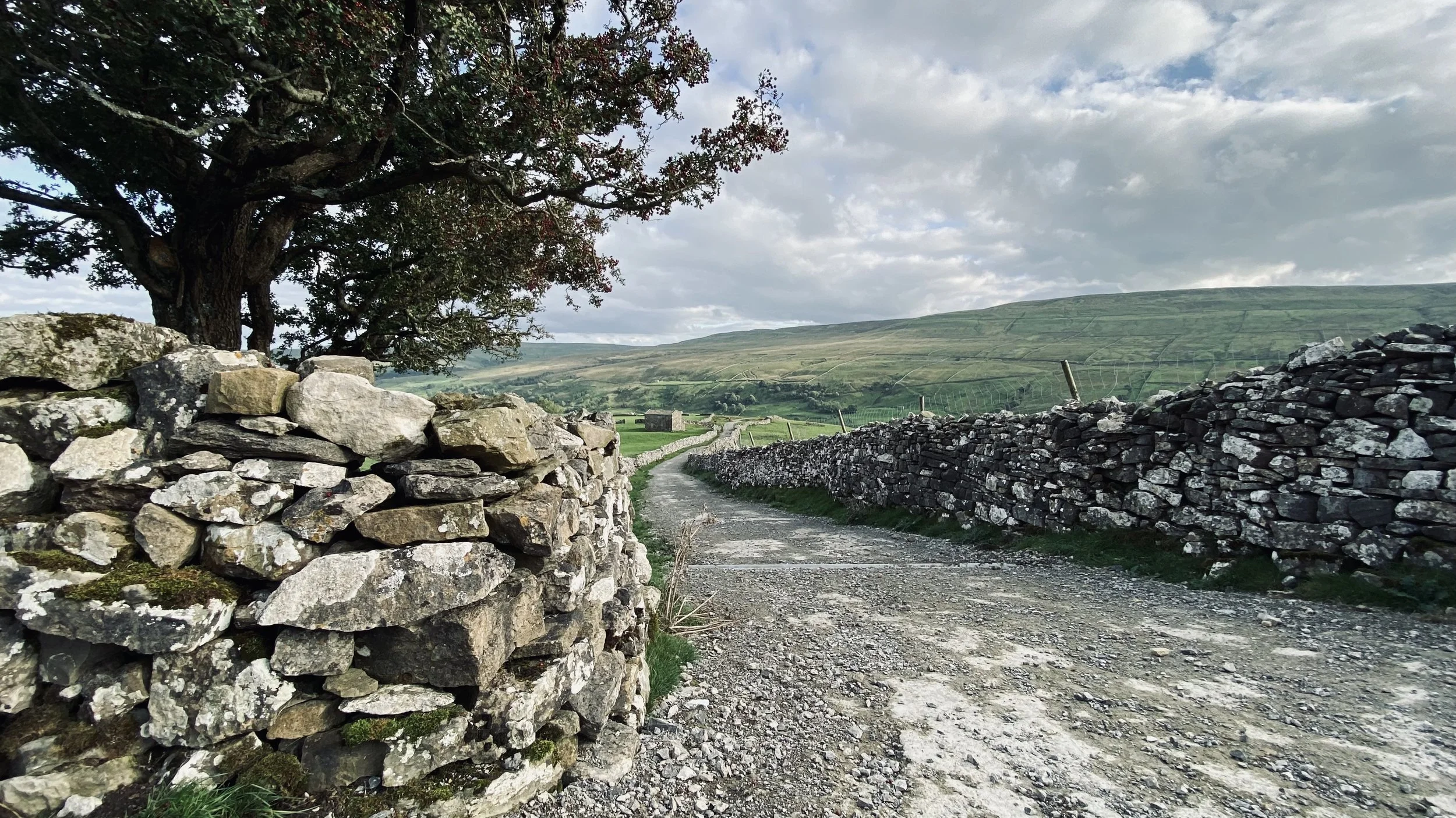 31. Swaledale 2.jpg