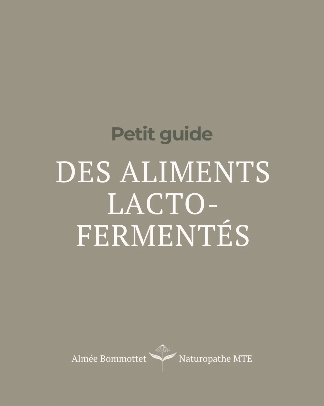 Les aliments lactoferment&eacute;s, de vrais alli&eacute;s pour le microbiote ✨

Plus digestes, plus riches en nutriments, et naturellement plein de bonnes bact&eacute;ries 🦠
Ils soutiennent en douceur l&rsquo;&eacute;quilibre digestif&hellip; &agra