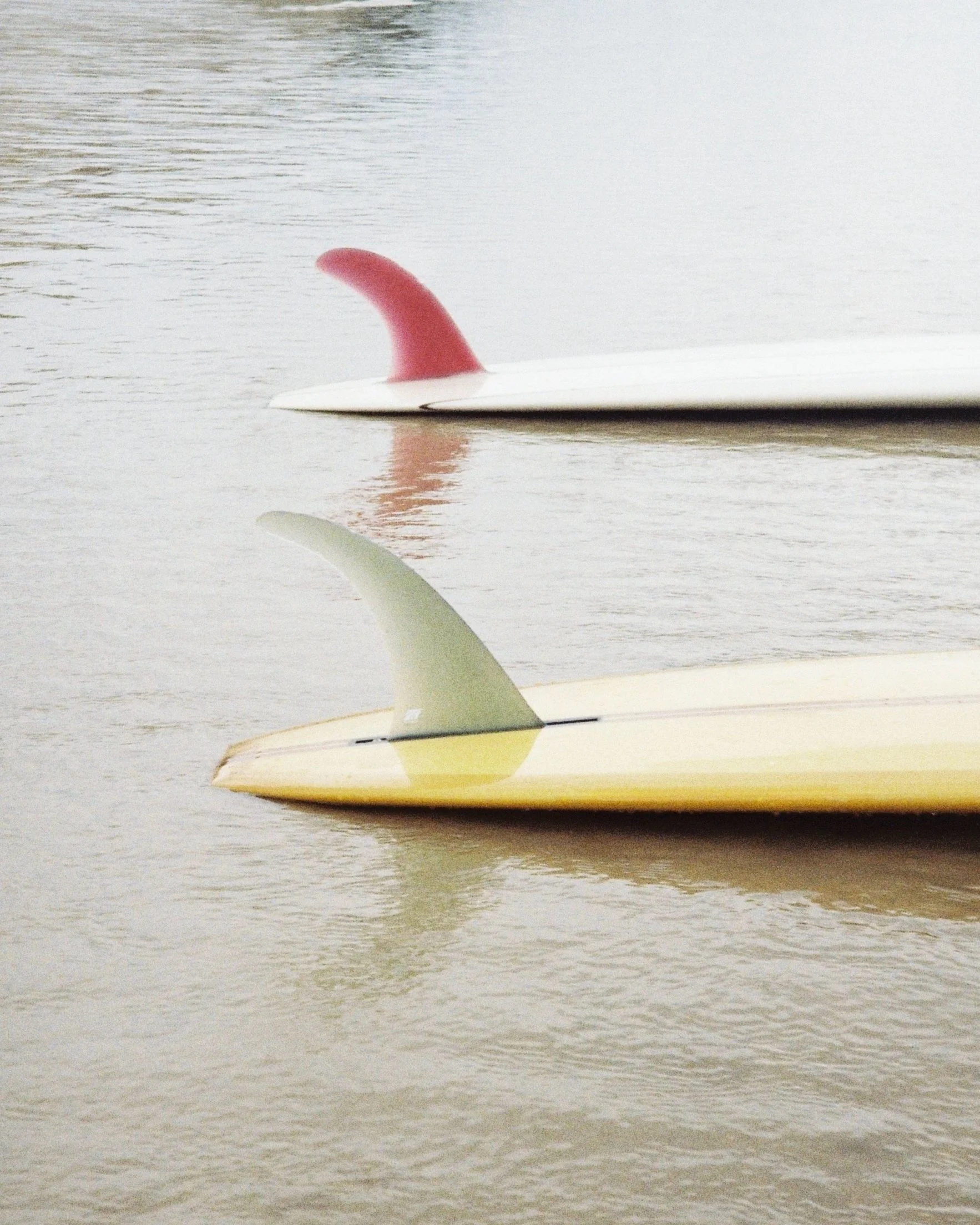 Two surfboards floating on water, one with a yellow fin and the other with a red fin.