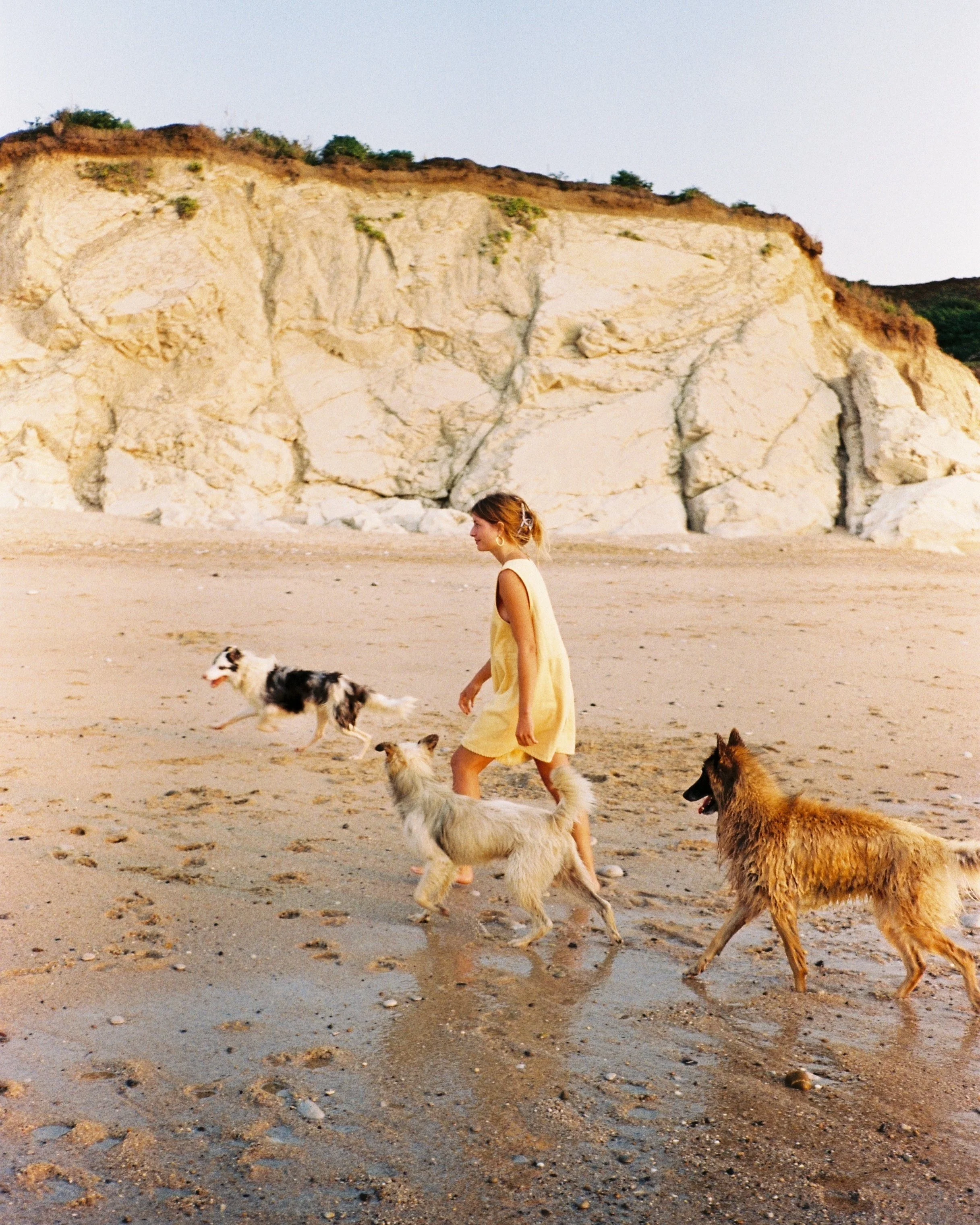 A woman in a yellow dress playing with three dogs on a sandy beach near white cliffs.