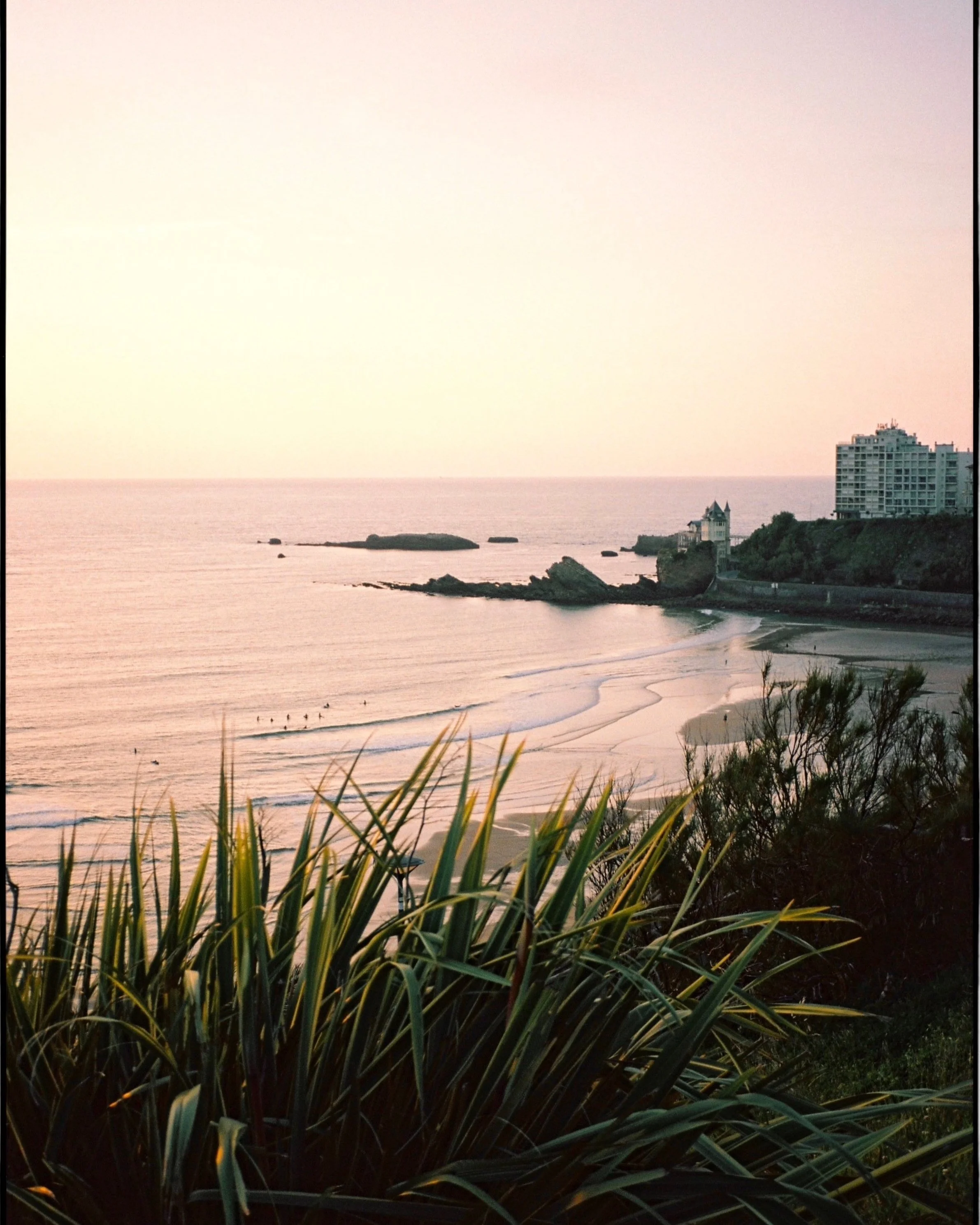 Sunset over a beach with green shrubs in the foreground, calm ocean waves, rocky formations, and buildings on a cliffside in the distance.