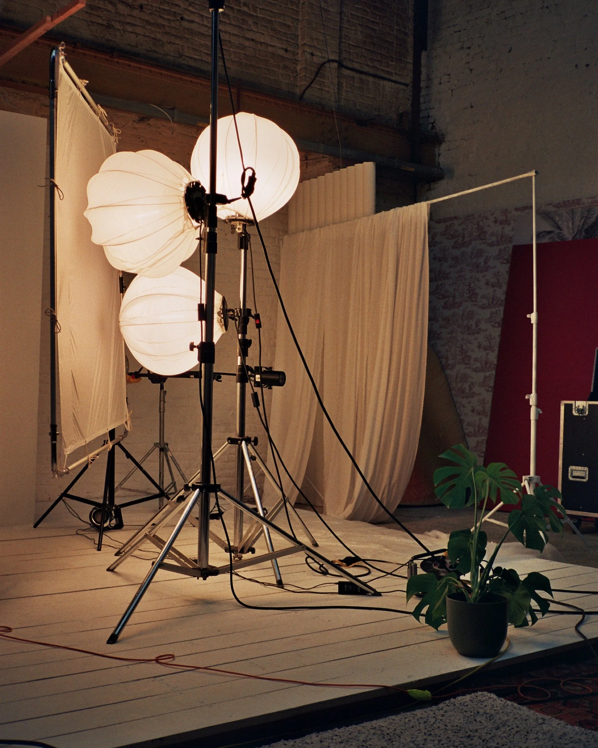 Photo of a photography studio with large softbox lights, a backdrop, and a potted plant on a white wooden floor.