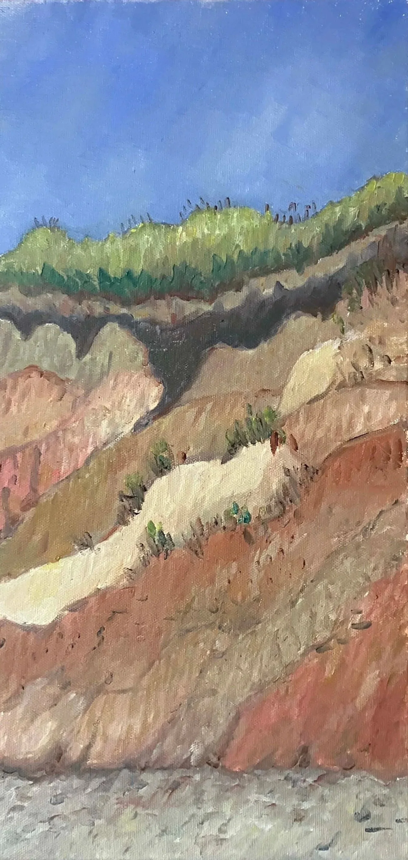 Aquinnah  oil on canvas 10"H x 20"W