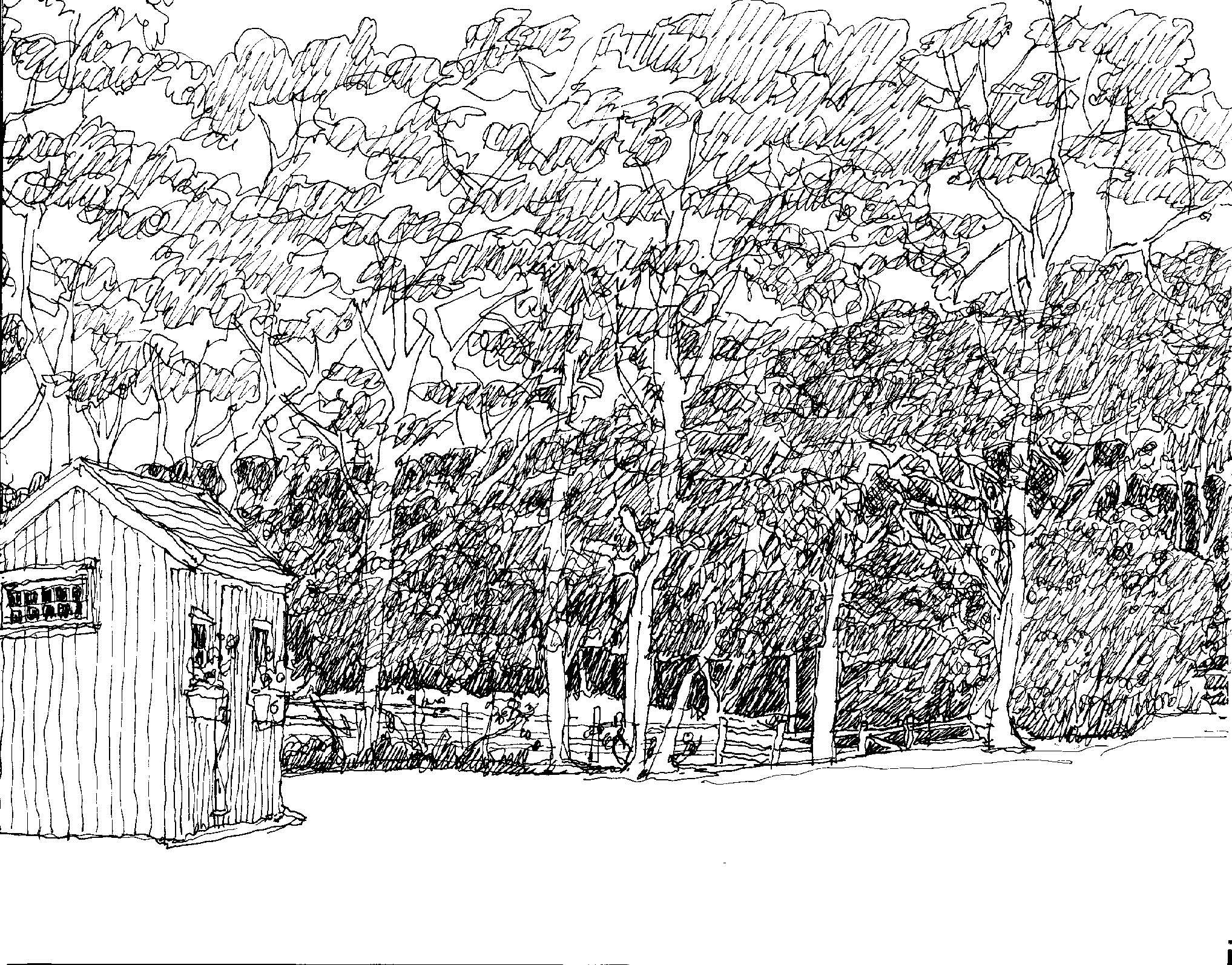 Stillpoint 9.5.25_Page_12.jpg