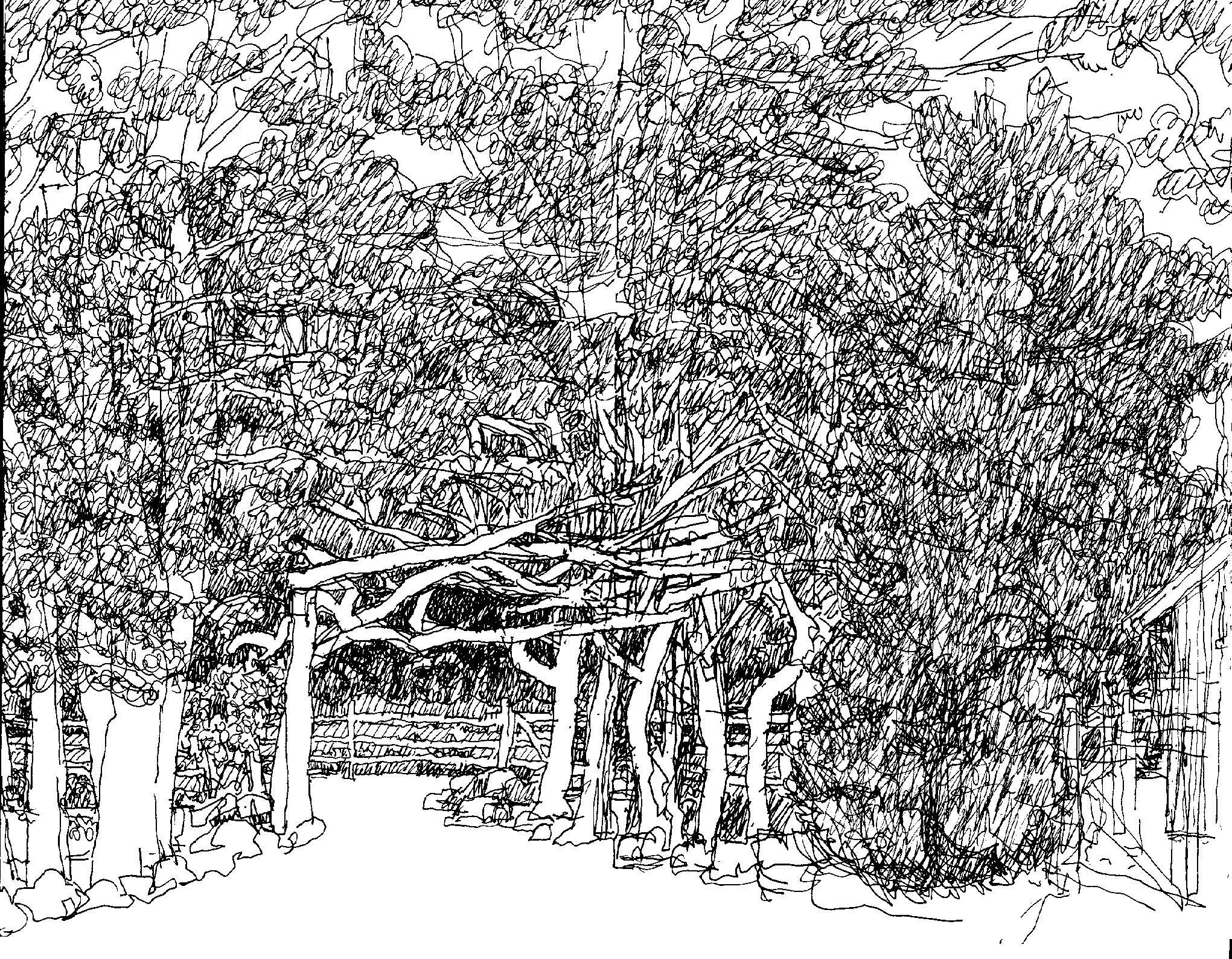 Stillpoint 9.5.25_Page_11.jpg