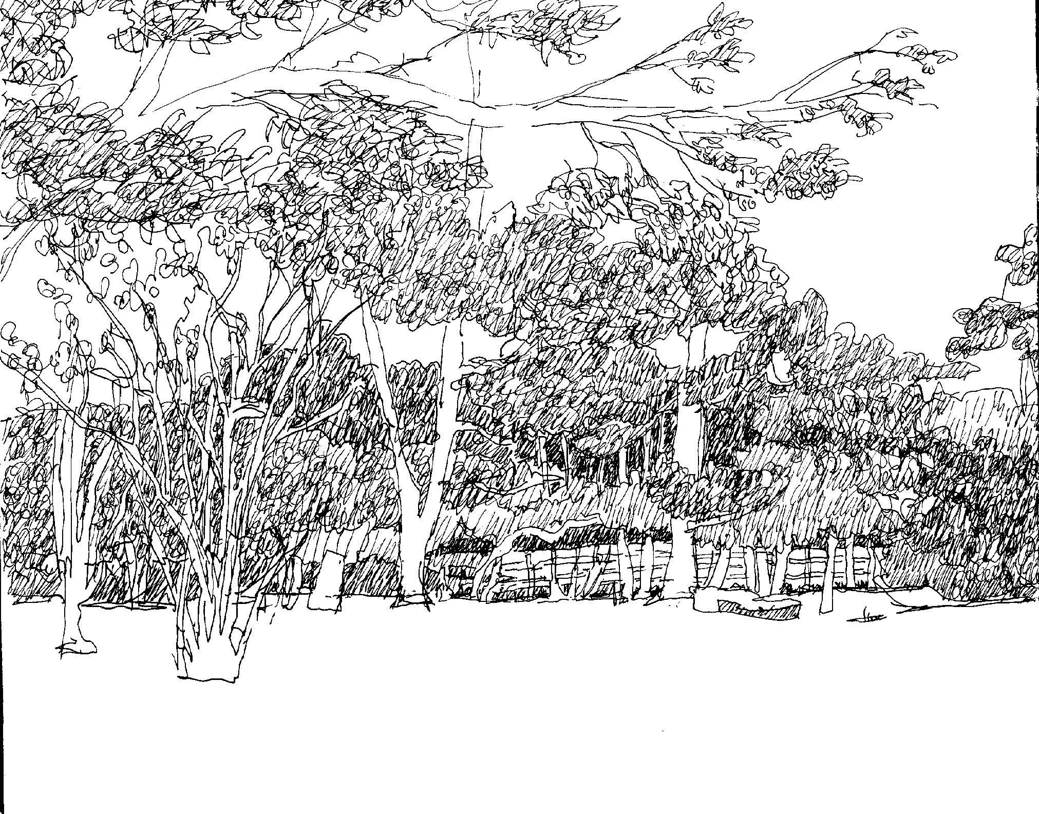 SCROLL RIGHT START HERE 