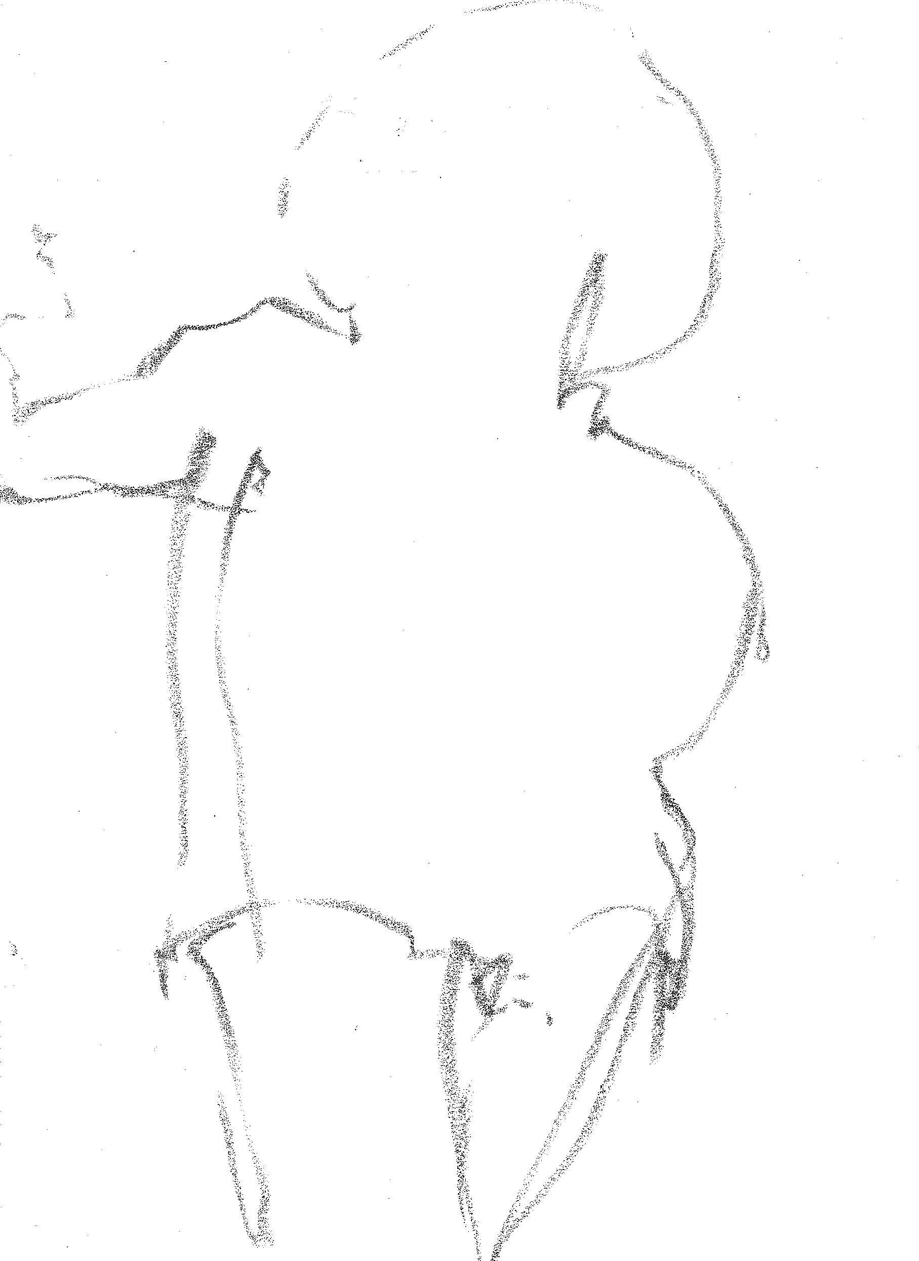 James against the sun, Jamaic 1987