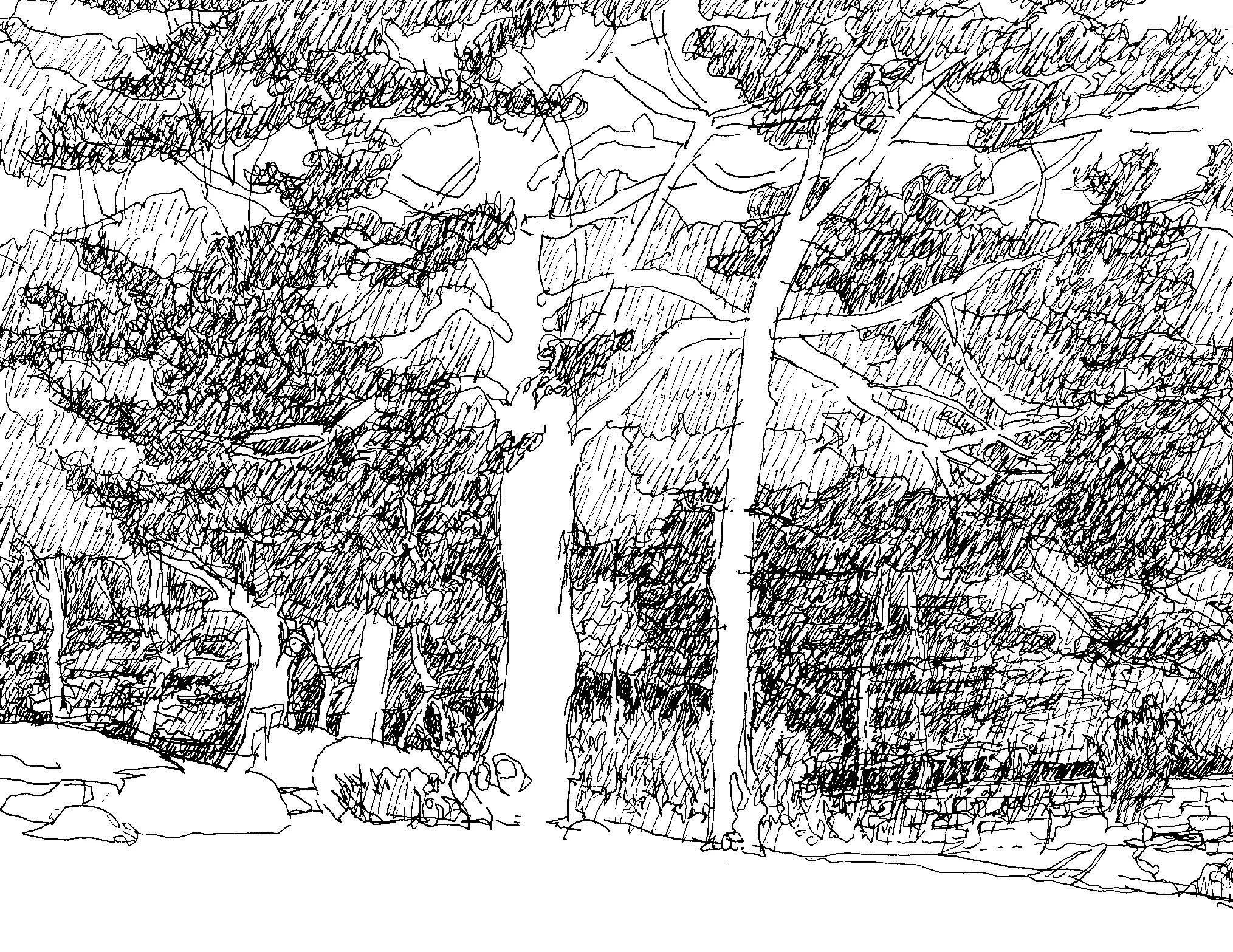 Stillpoint 9.5.25_Page_05.jpg