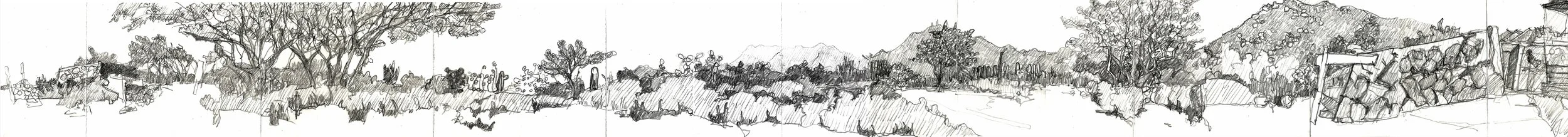 Taliesin West, Scottsdale AZ March 2015