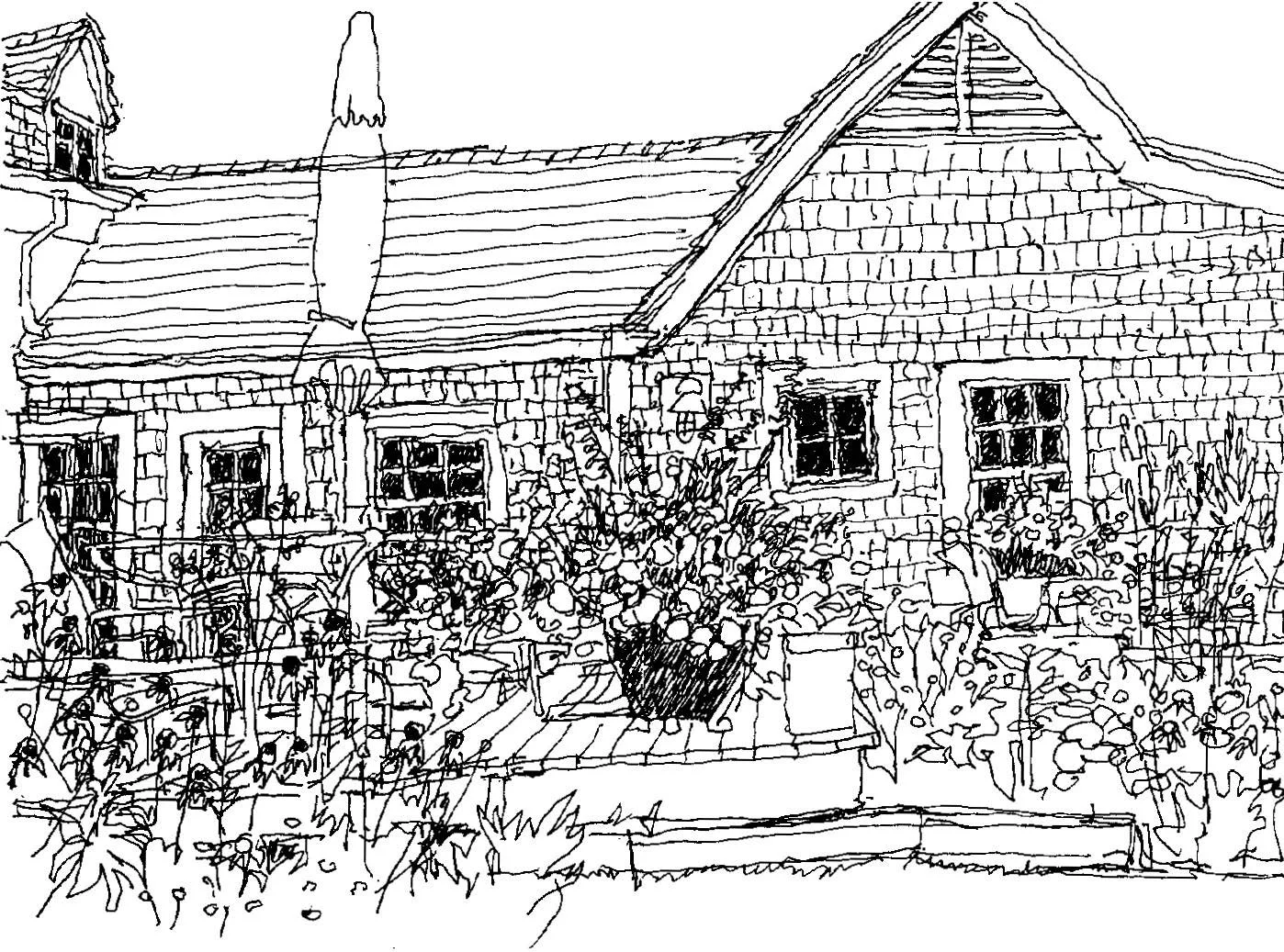 Lovey's Cove, Chilmark MA 7.25.25 TO VIEW START HERE and SCROLL RIGHT