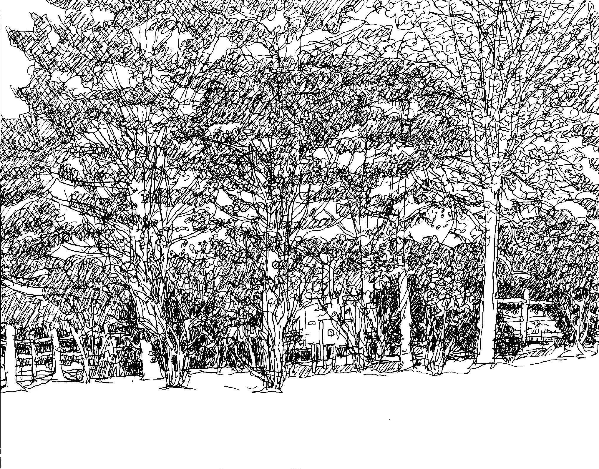 Stillpoint 9.5.25_Page_08.jpg