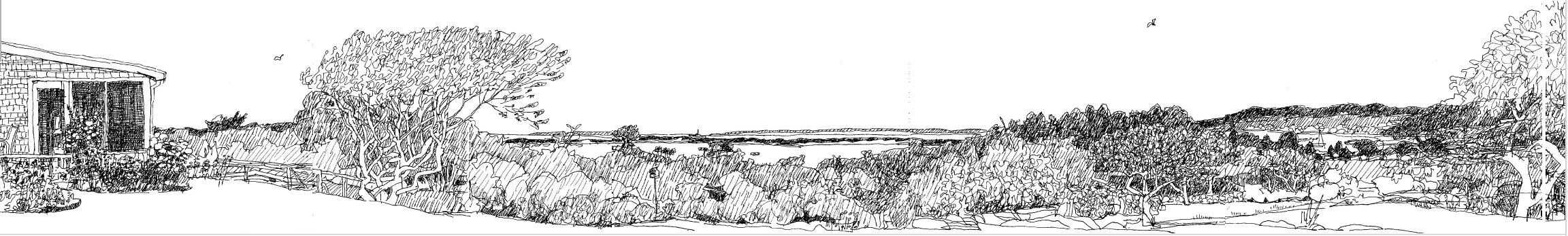 Lovey's Cove, Chilmark 7.25.25