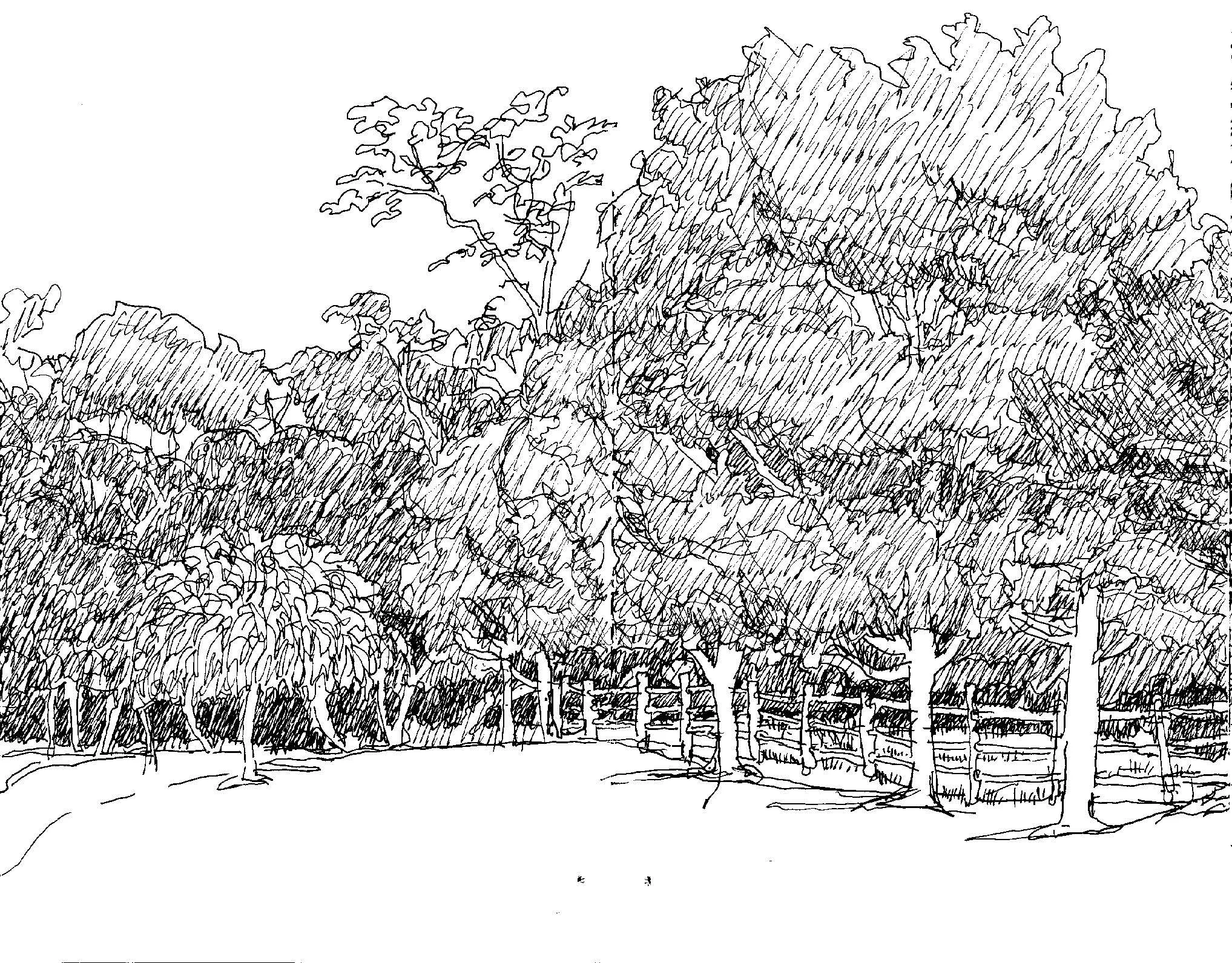 Stillpoint 9.5.25_Page_07.jpg