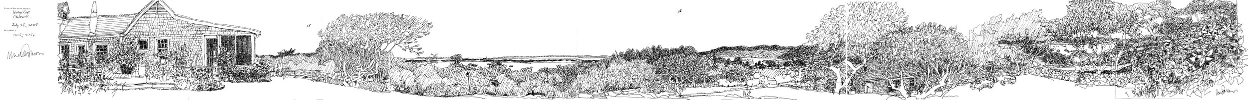 Lovey's Cove, Chilmark 7.25.25