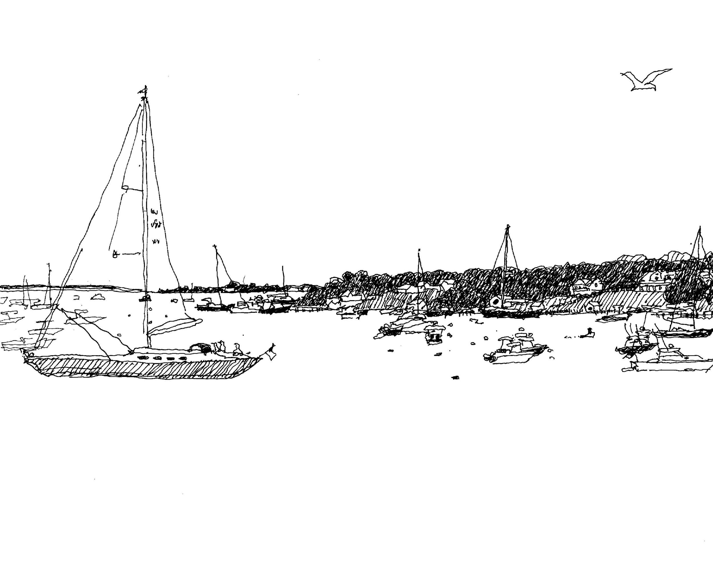 Edgartown Harbor 6.14.26 START HERE, SCROLL RIGHT 