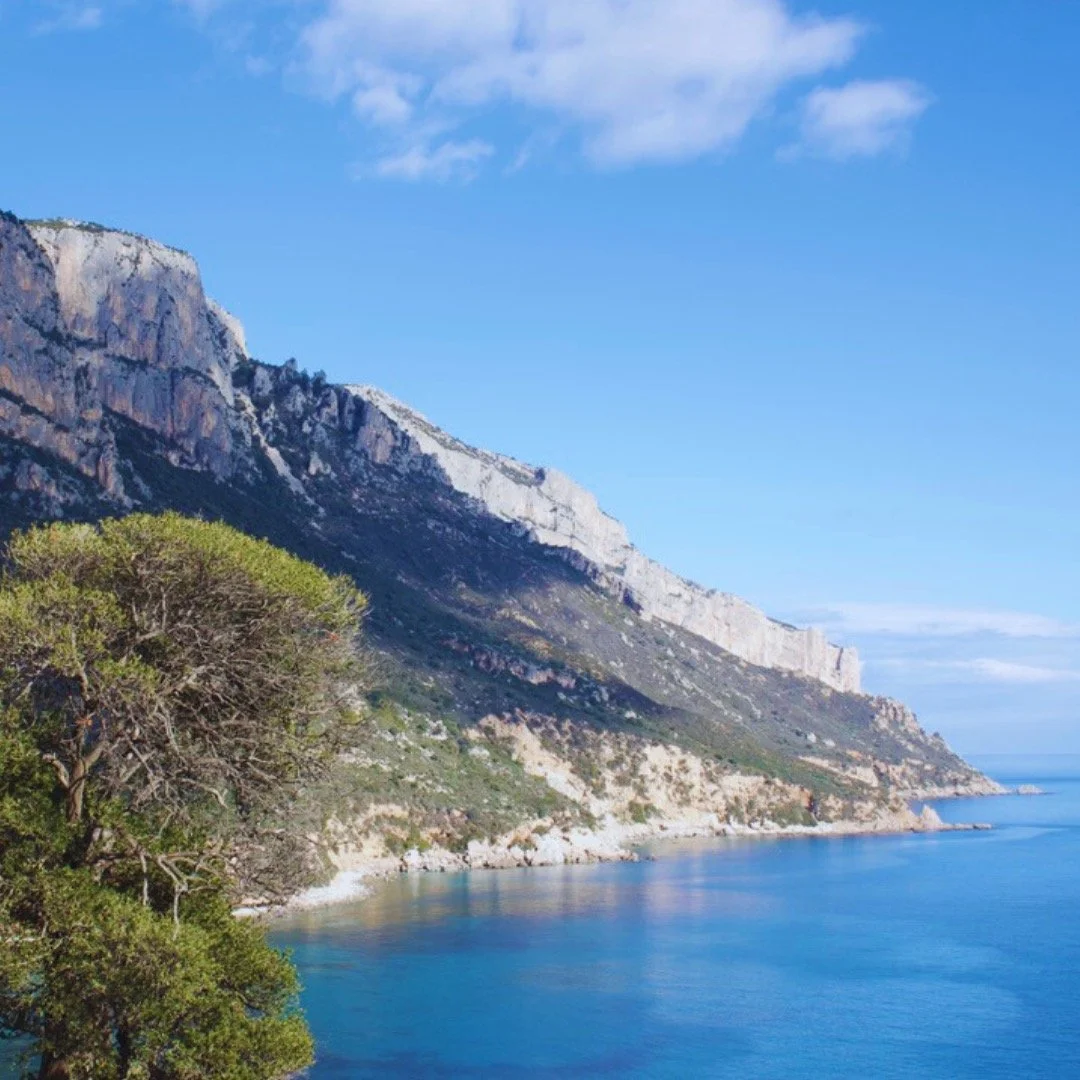 🌊 Secret to Longevity: The Heights 🌄

Imagine a life where your daily routine naturally includes climbing mountains and descending to the sea. Sardinian elders have lived this way for centuries&mdash;moving with the land, not against it.

The natur