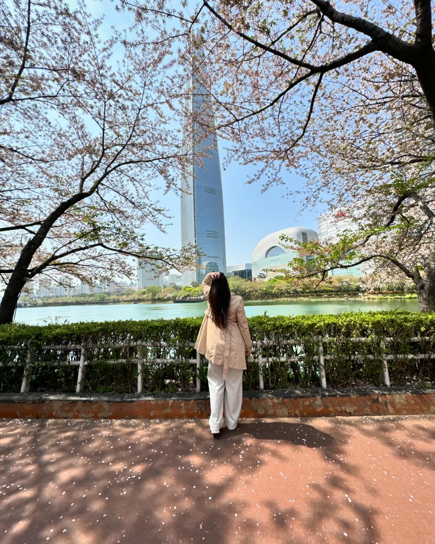 Nuestro tercer dia por Seul: subimos a la Lotte tower, comemos en el restaurante fav de BTS y acabamos la noche relajandonos en Banpo 🇰🇷

#bts #corea #coreadelsur #coreadelsur🇰🇷️ #viajes #travel #seul #se&uacute;l #seoul #southkorea #lottetower #