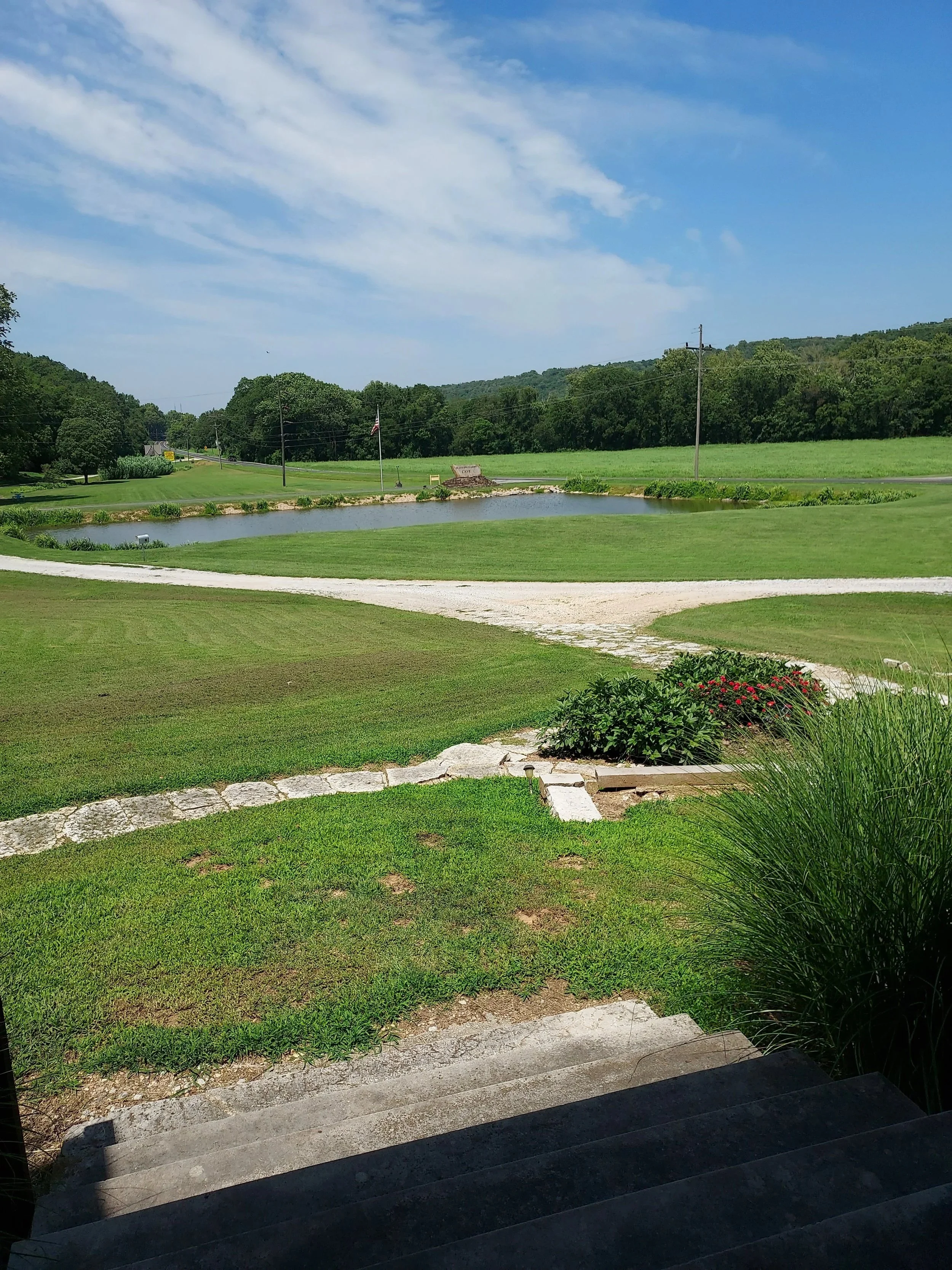 view from front patio, overlooking pond