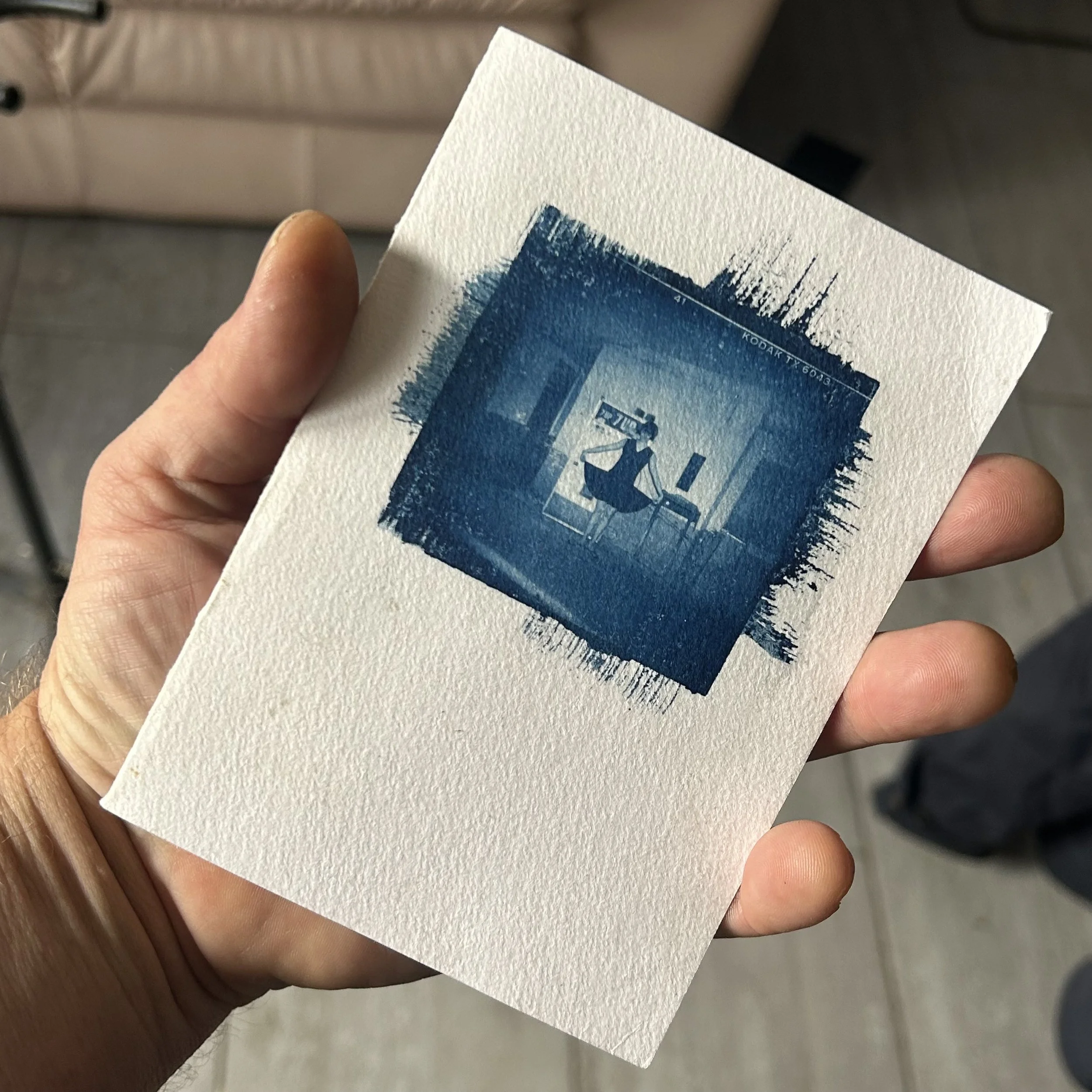 Cyanotypes and Digital Negative Workshop